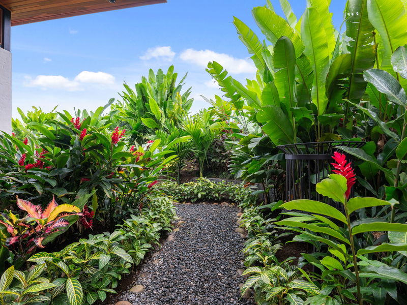 3 bed Single Family Homes For Sale in La Fortuna, Alajuela - photo 19