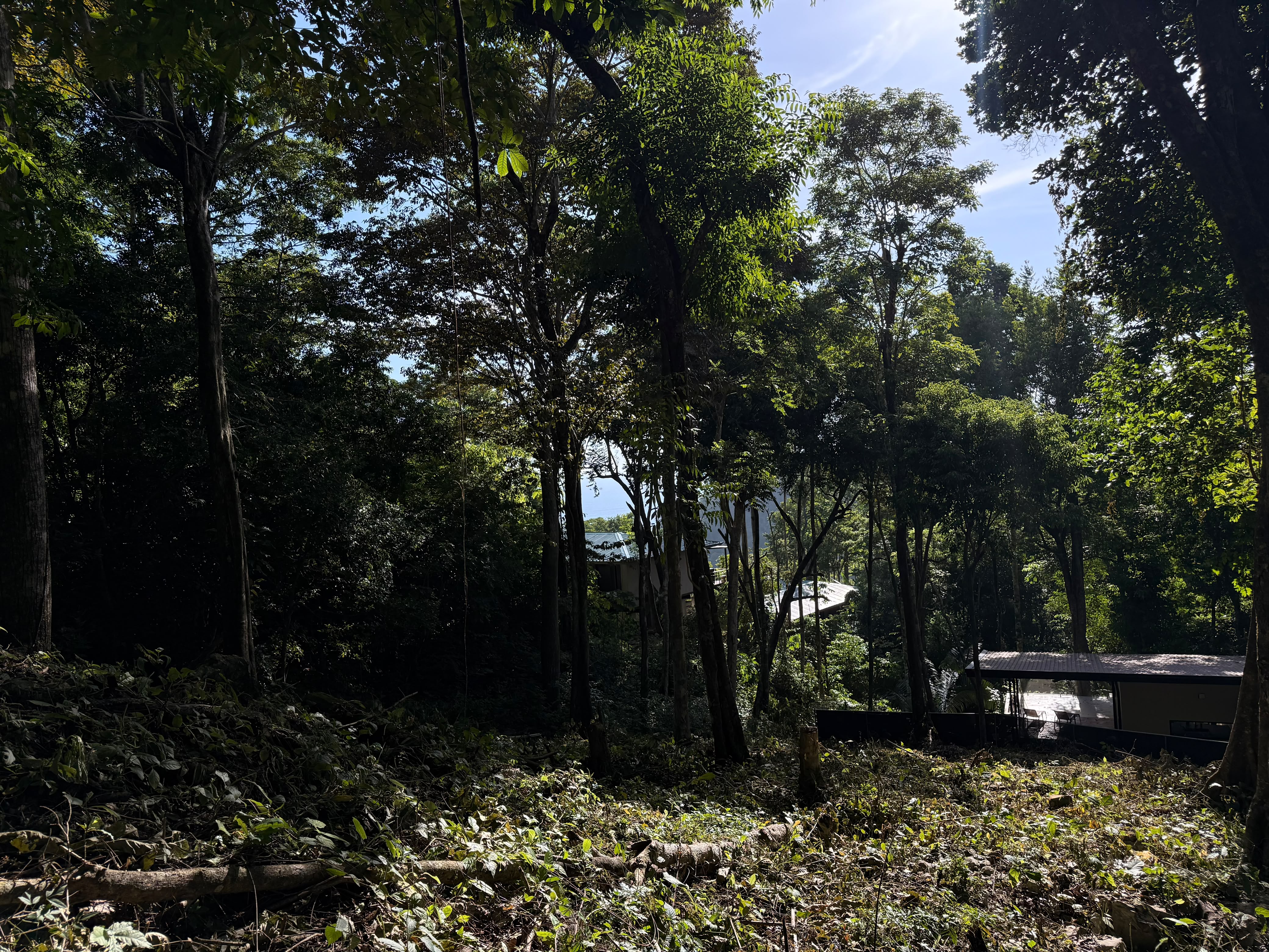 0 bed Land For Sale in Santa Teresa, Puntarenas - thumb 8