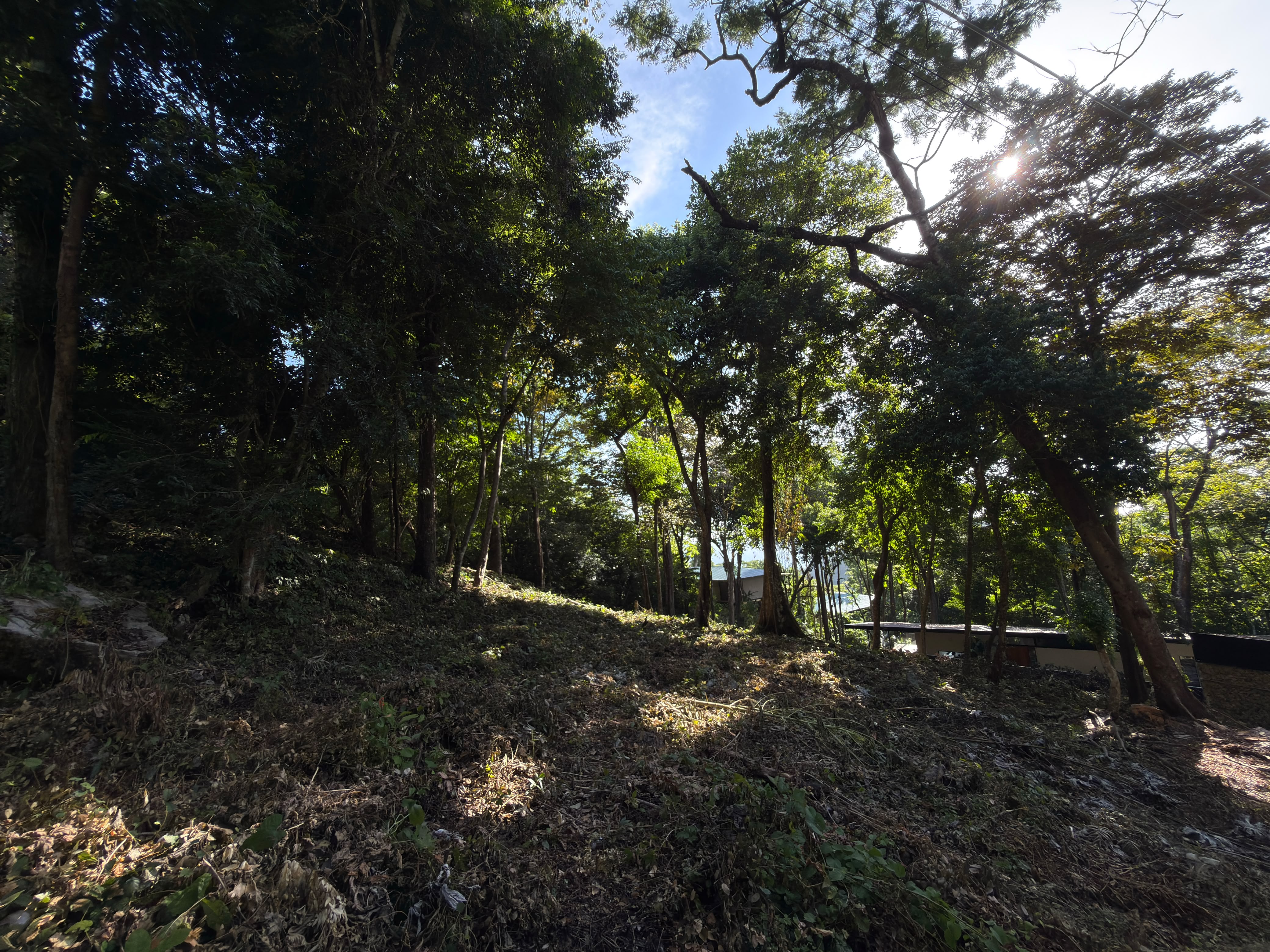 0 bed Land For Sale in Santa Teresa, Puntarenas - thumb 6