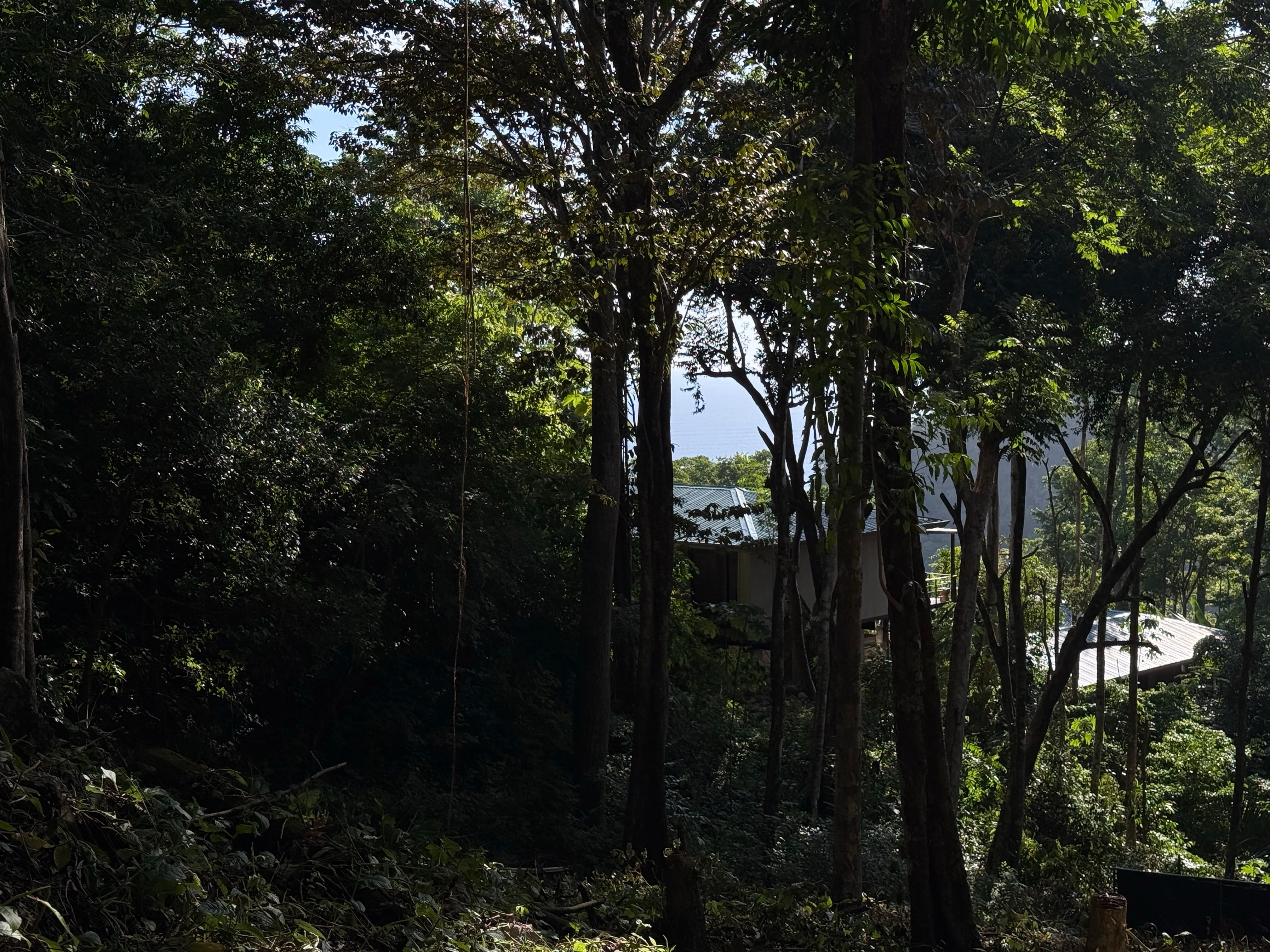 0 bed Land For Sale in Santa Teresa, Puntarenas - thumb 5