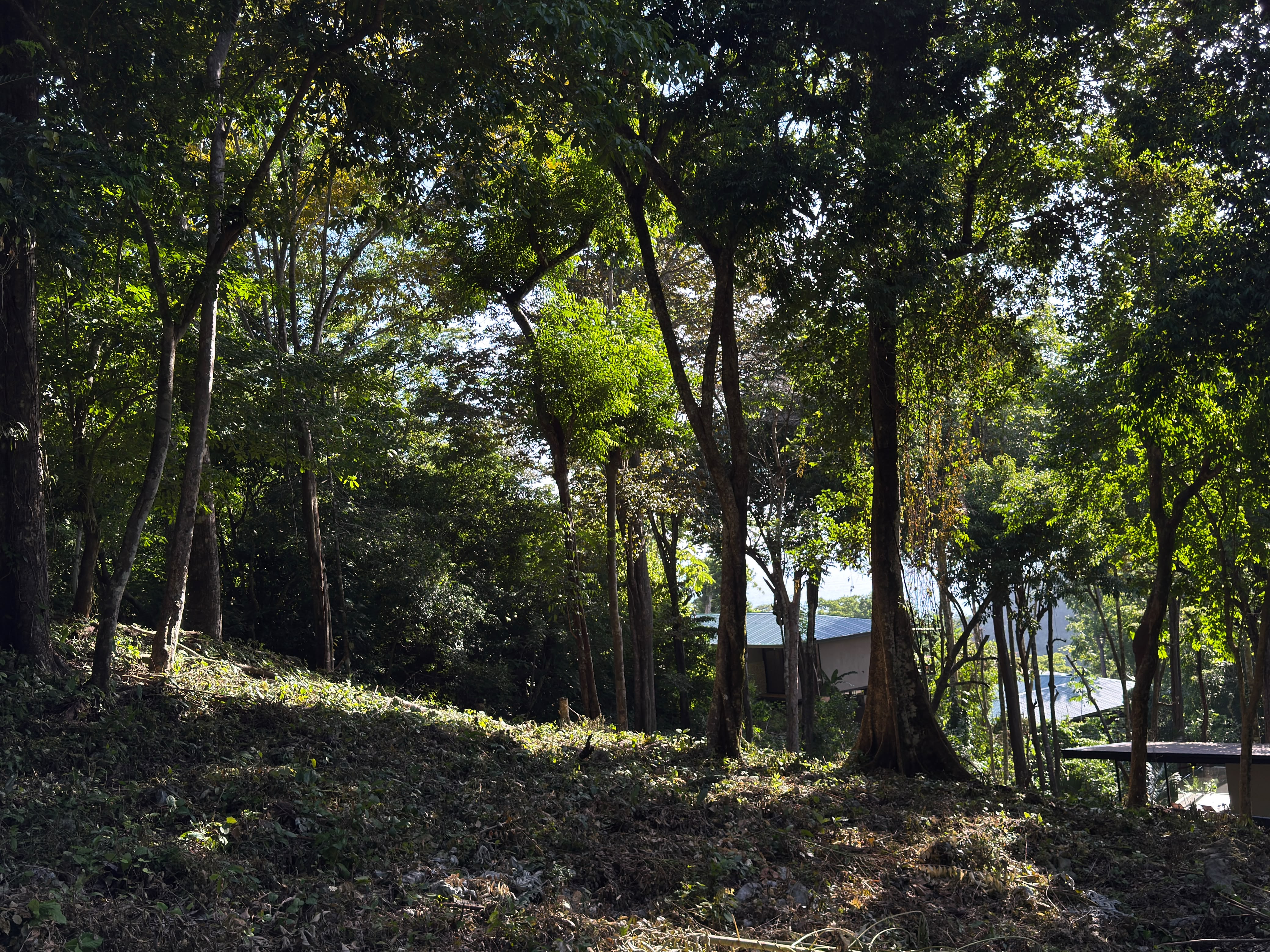 0 bed Land For Sale in Santa Teresa, Puntarenas - thumb 4