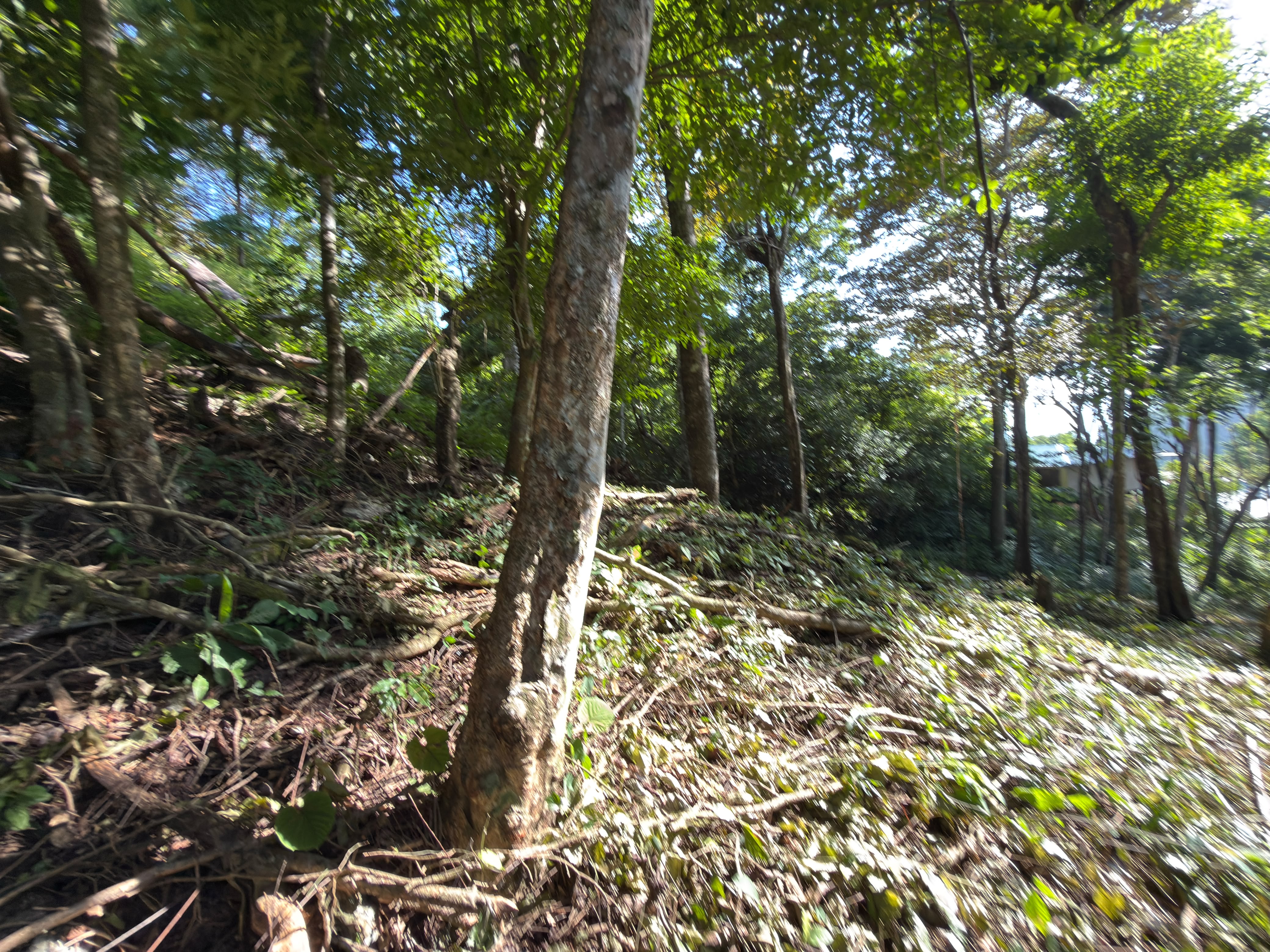 0 bed Land For Sale in Santa Teresa, Puntarenas - thumb 3