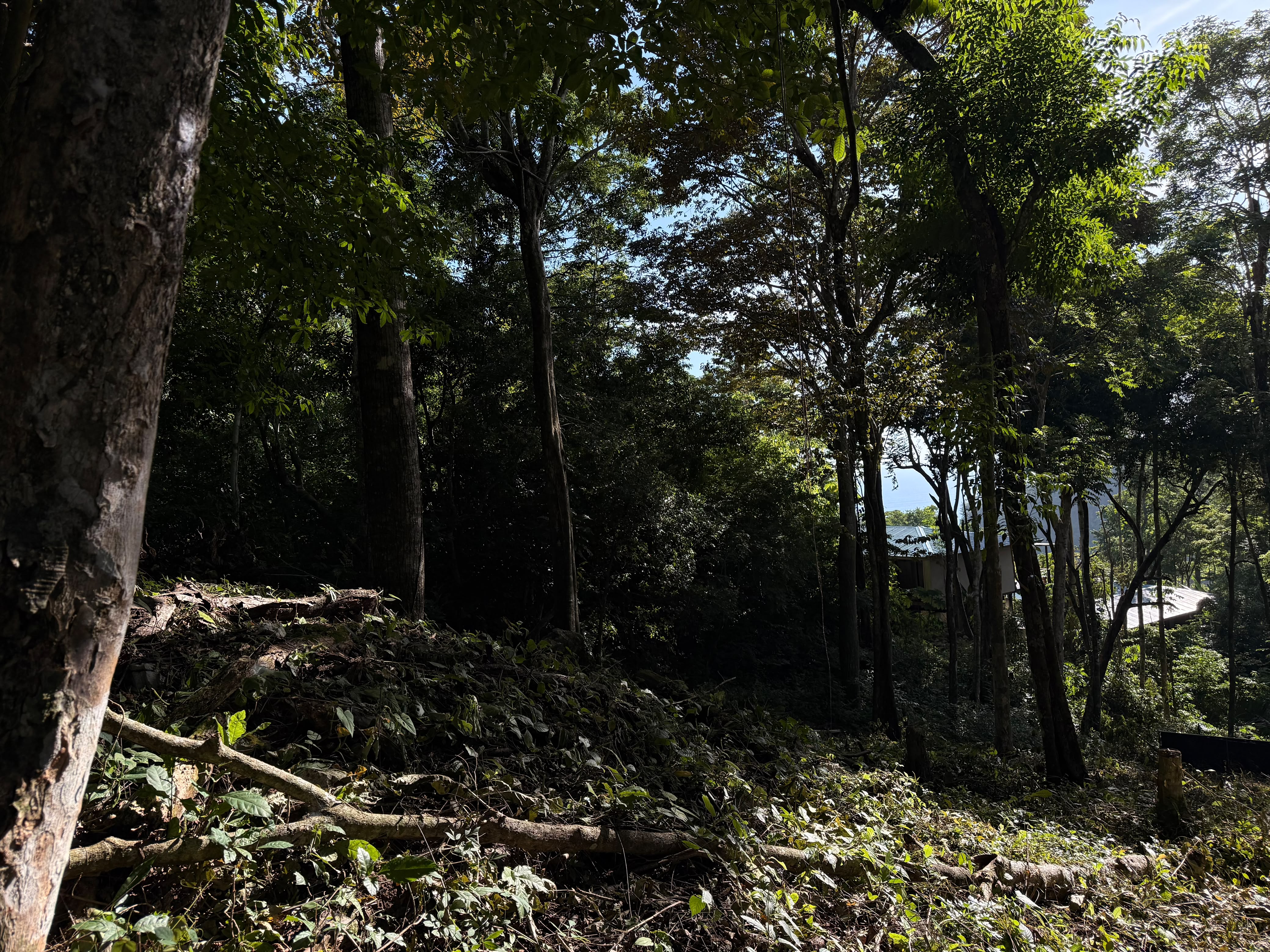 0 bed Land For Sale in Santa Teresa, Puntarenas - thumb 7