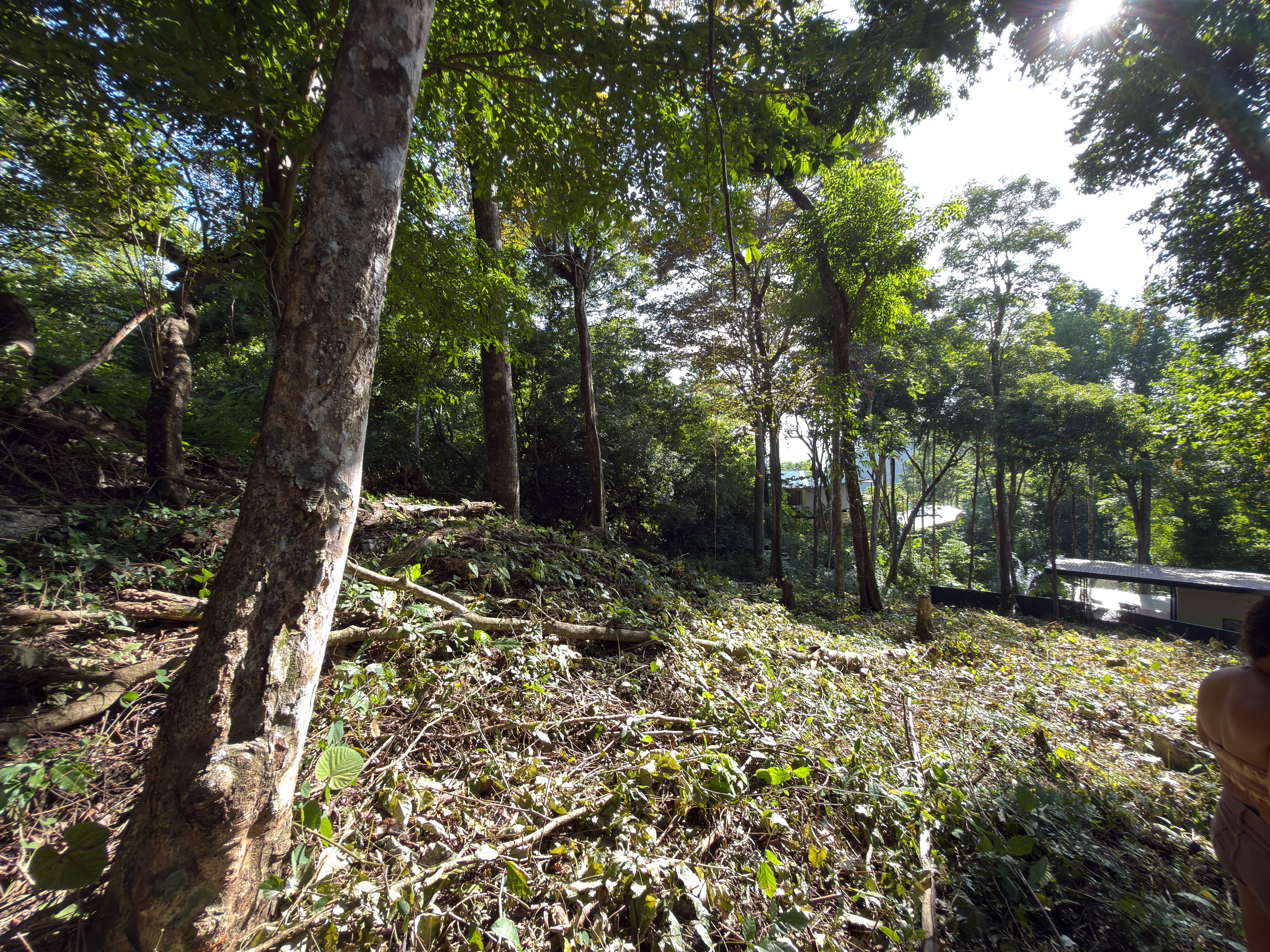 0 bed Land For Sale in Santa Teresa, Puntarenas - thumb 2