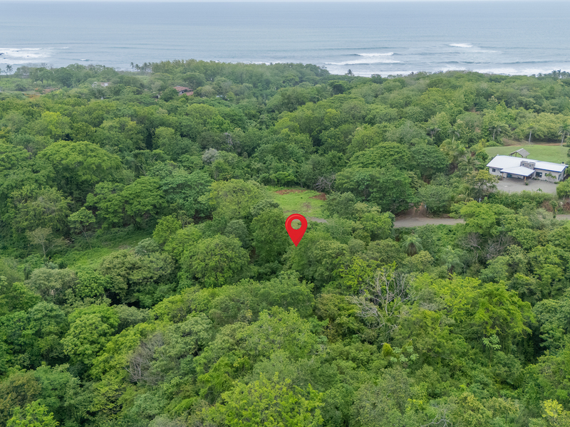 0 bed Land For Sale in Nosara, Guanacaste - 1