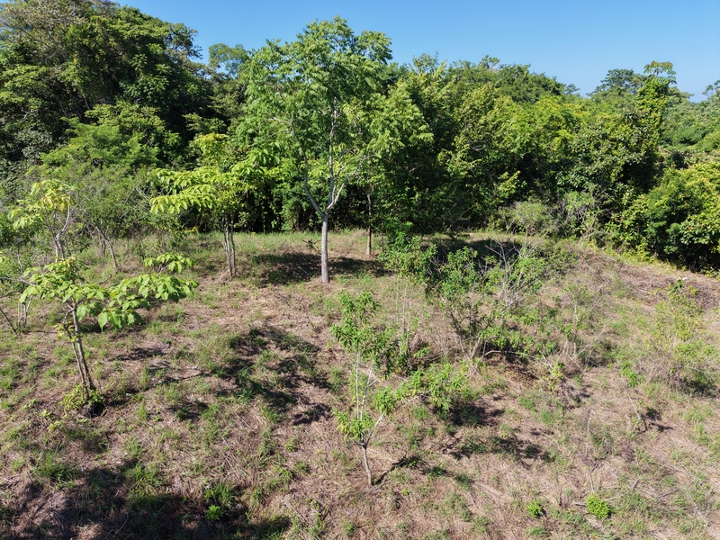 0 bed Land For Sale in Delicias, Puntarenas - 1