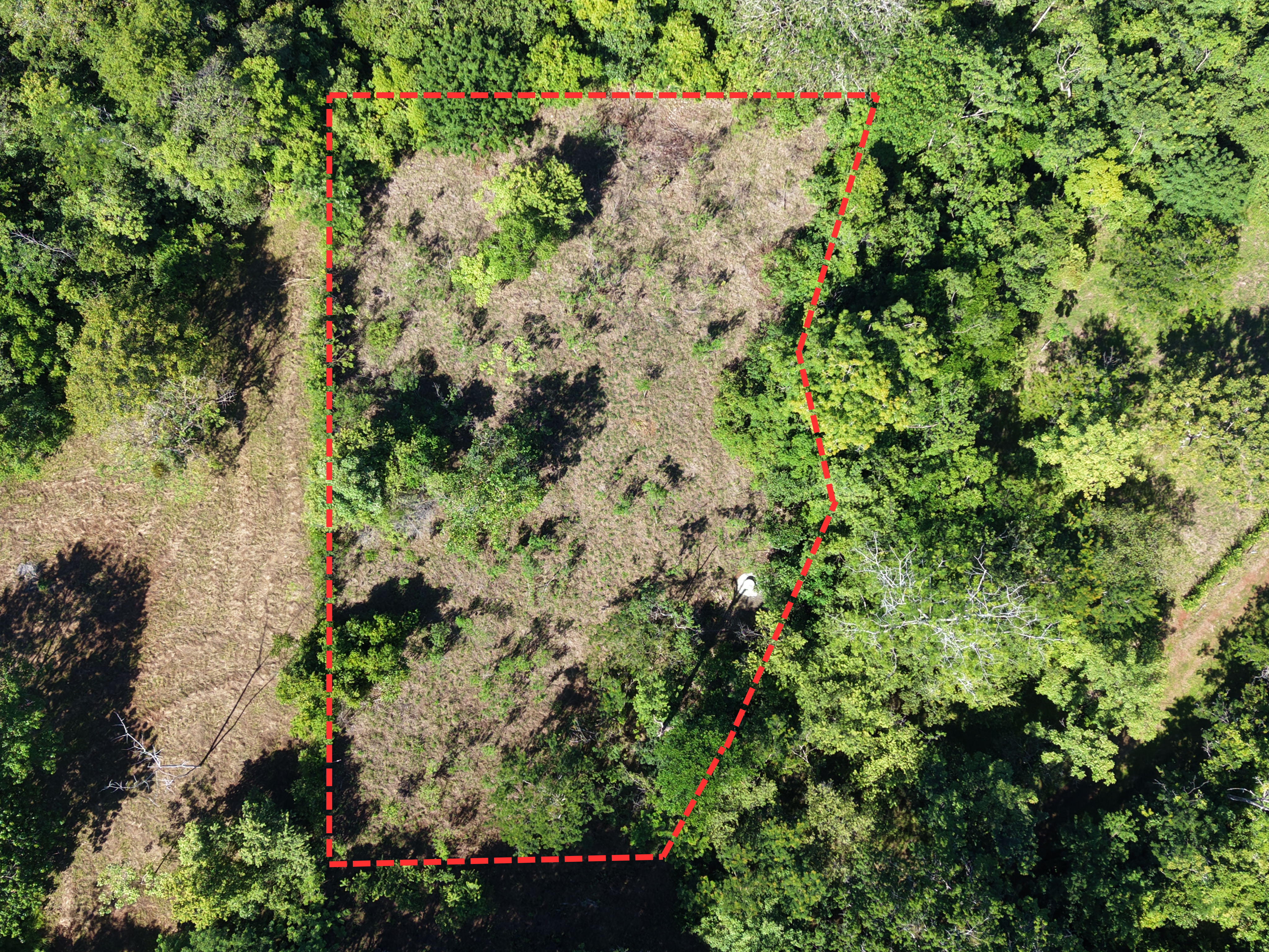 0 bed Land For Sale in Delicias, Puntarenas - thumb 9