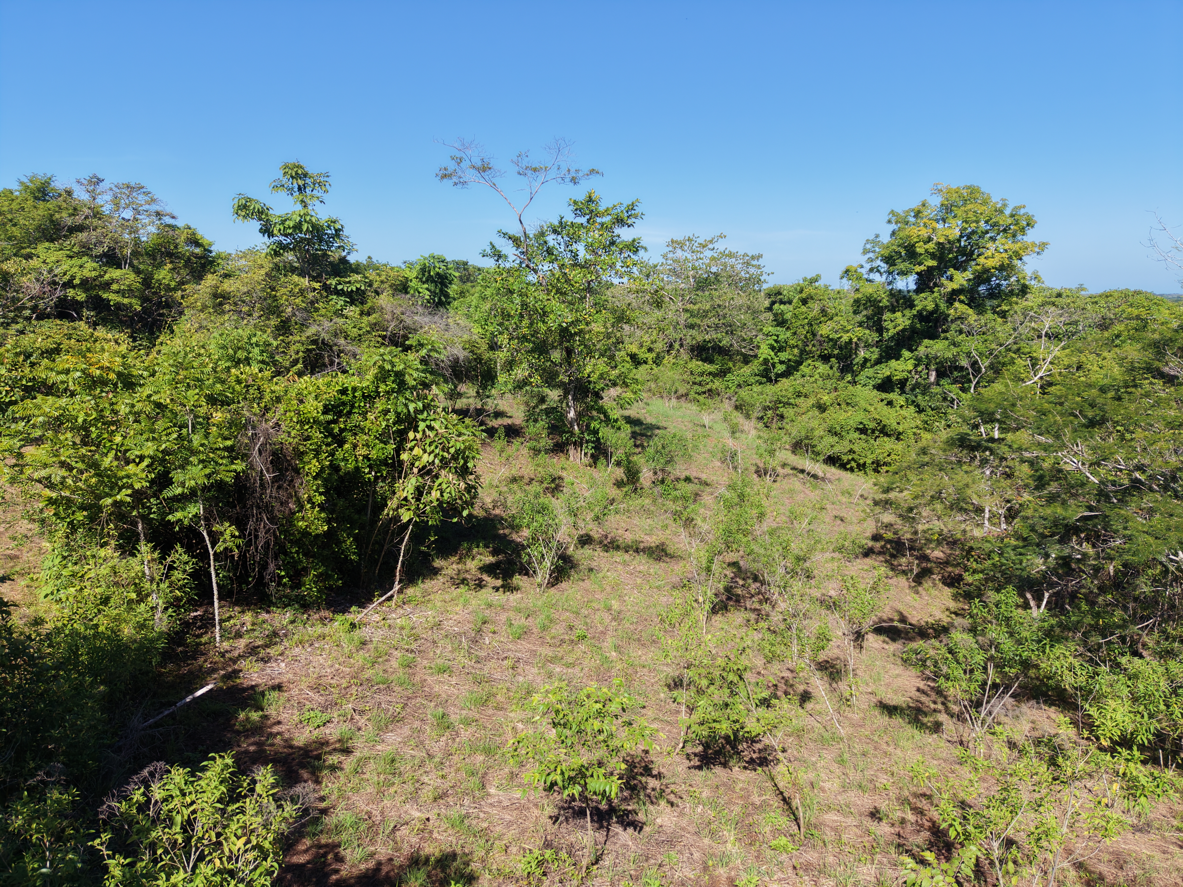 0 bed Land For Sale in Delicias, Puntarenas - thumb 7