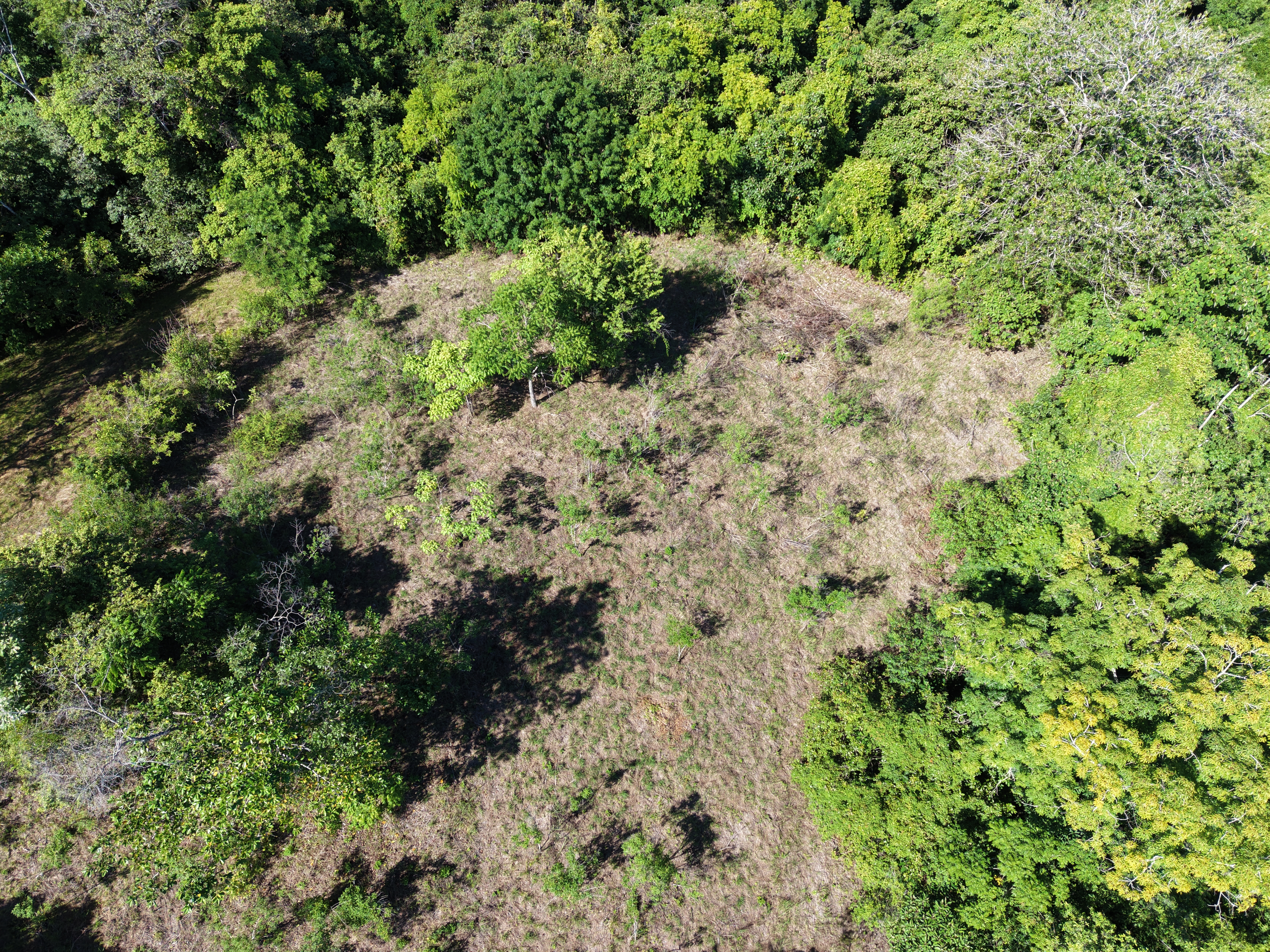 0 bed Land For Sale in Delicias, Puntarenas - thumb 5