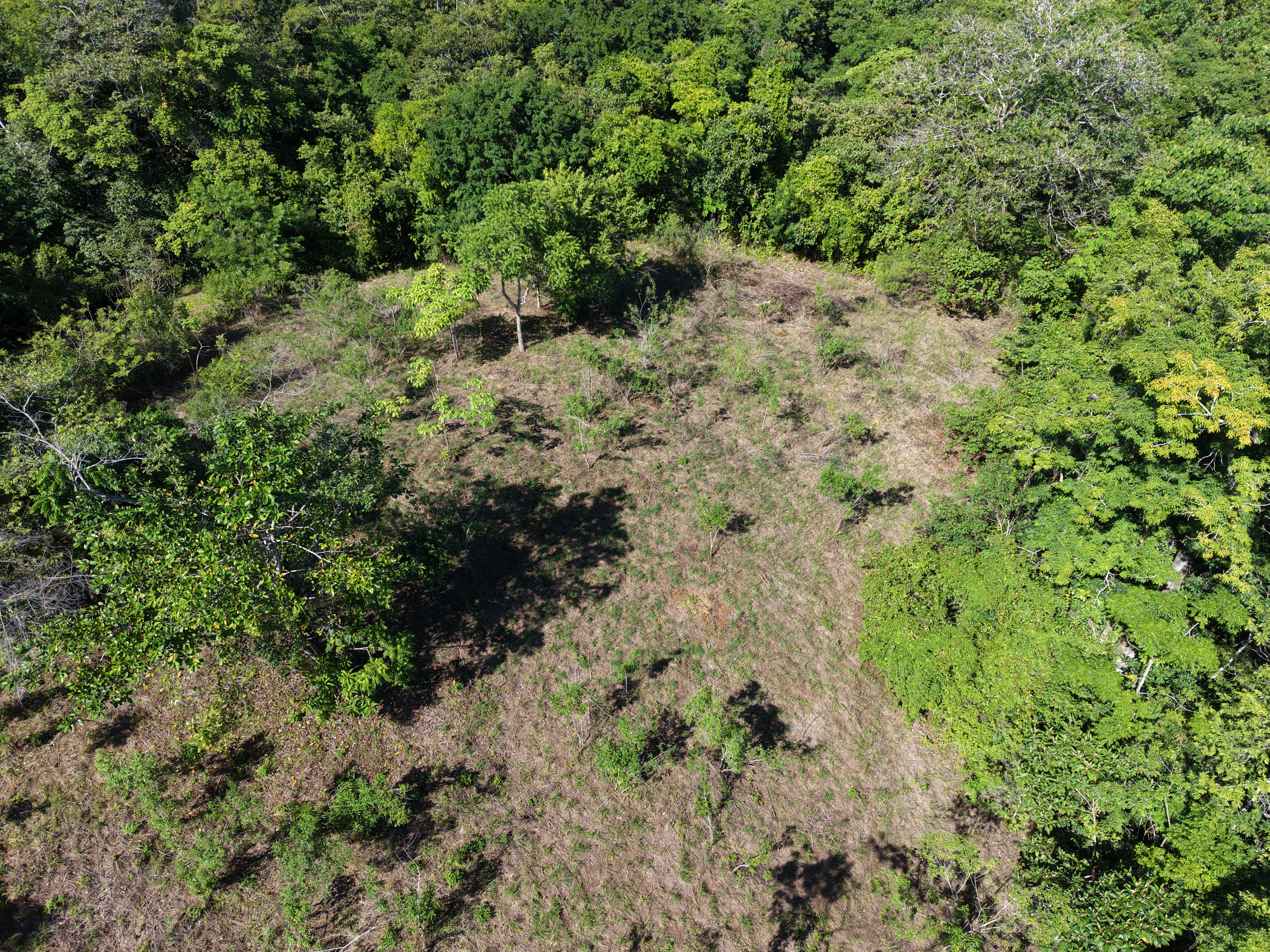 0 bed Land For Sale in Delicias, Puntarenas - thumb 4