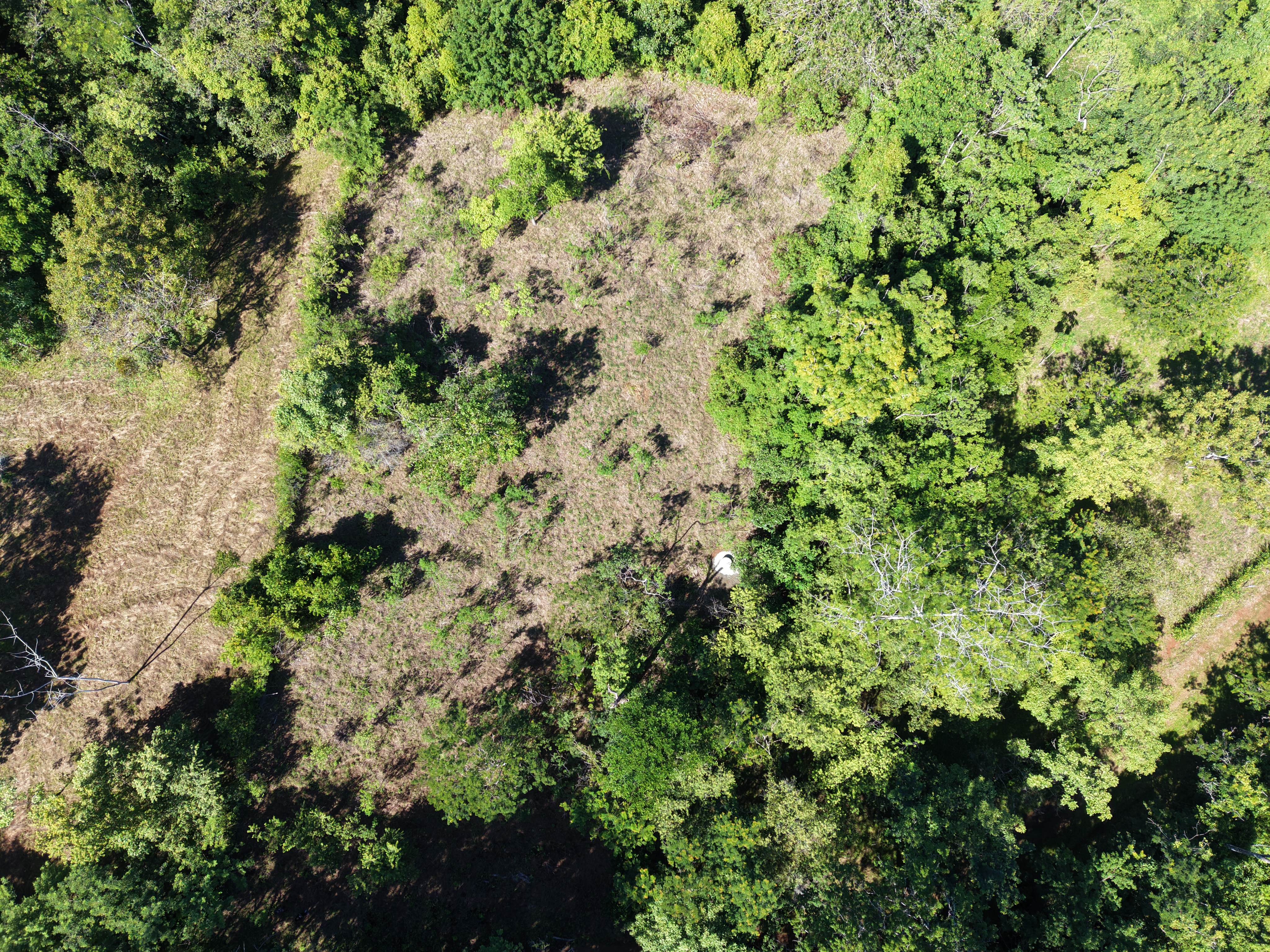 0 bed Land For Sale in Delicias, Puntarenas - thumb 3