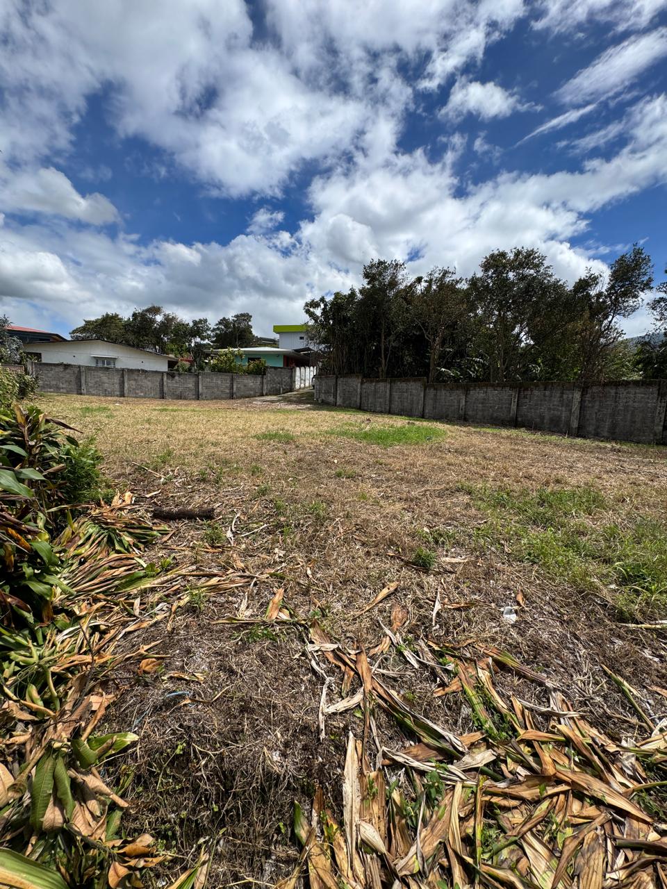 0 bed Land For Sale in Grecia, Alajuela - thumb 3