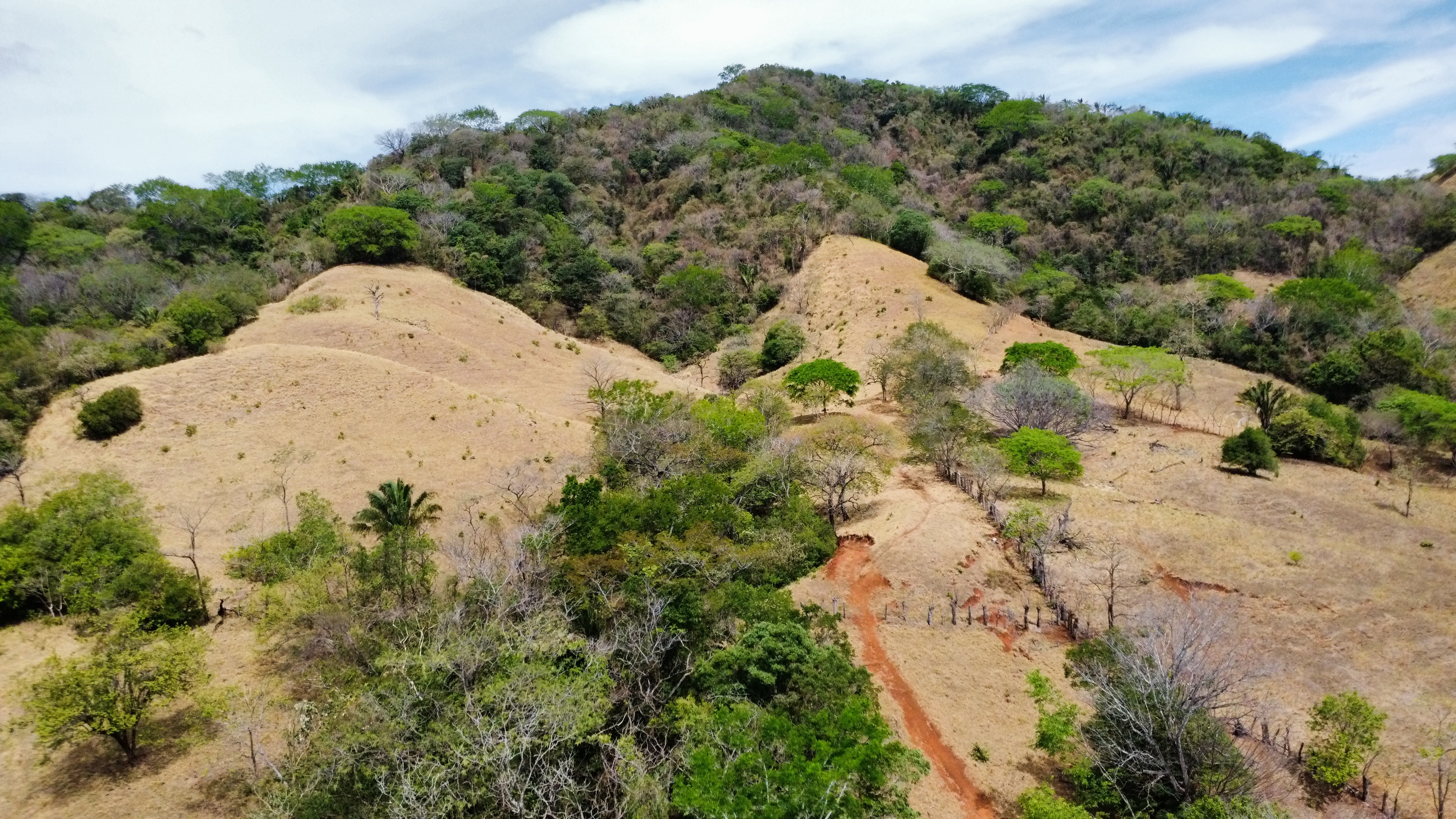 0 bed Land For Sale in Samara, Guanacaste - thumb 5
