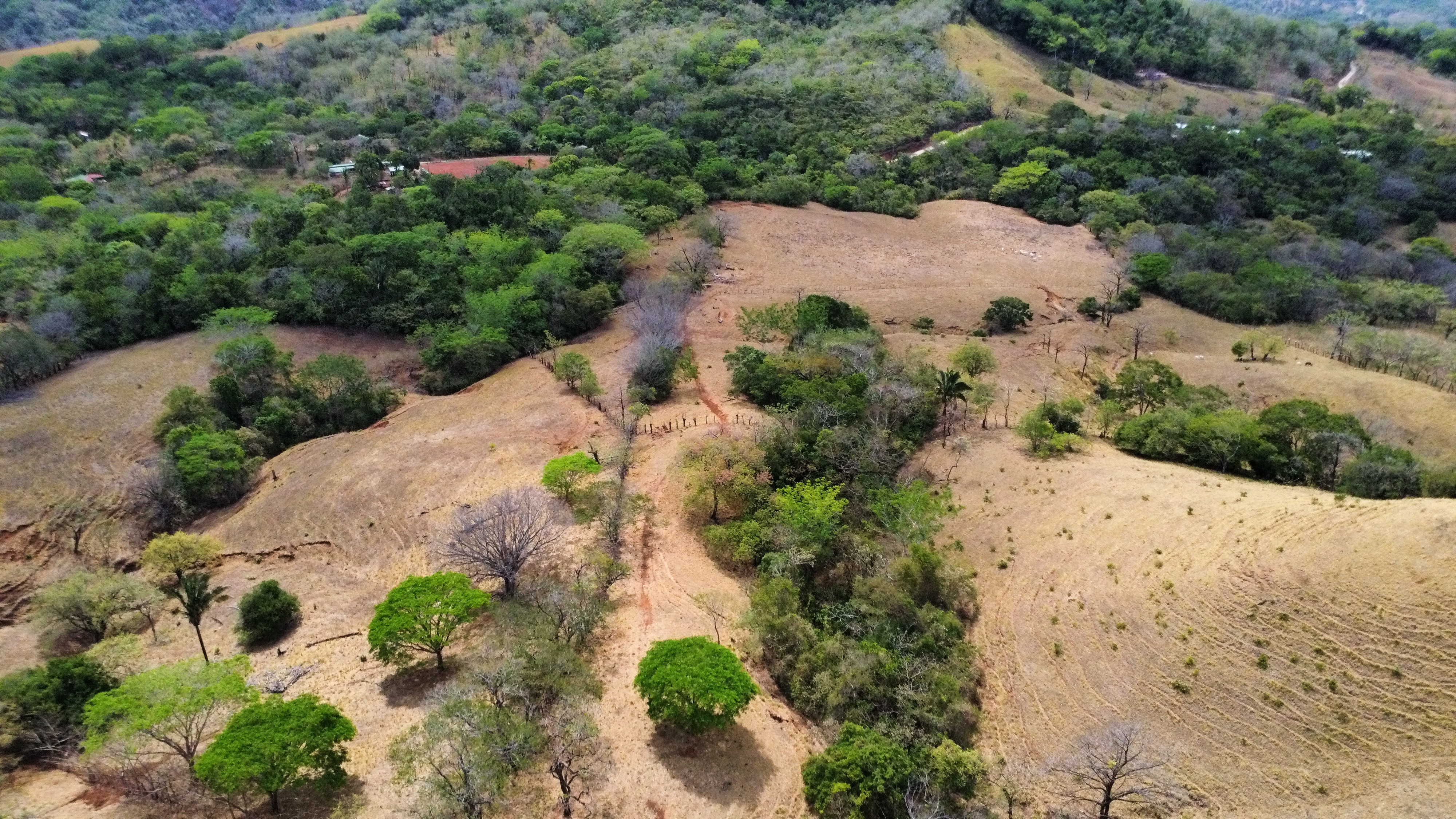 0 bed Land For Sale in Samara, Guanacaste - thumb 10