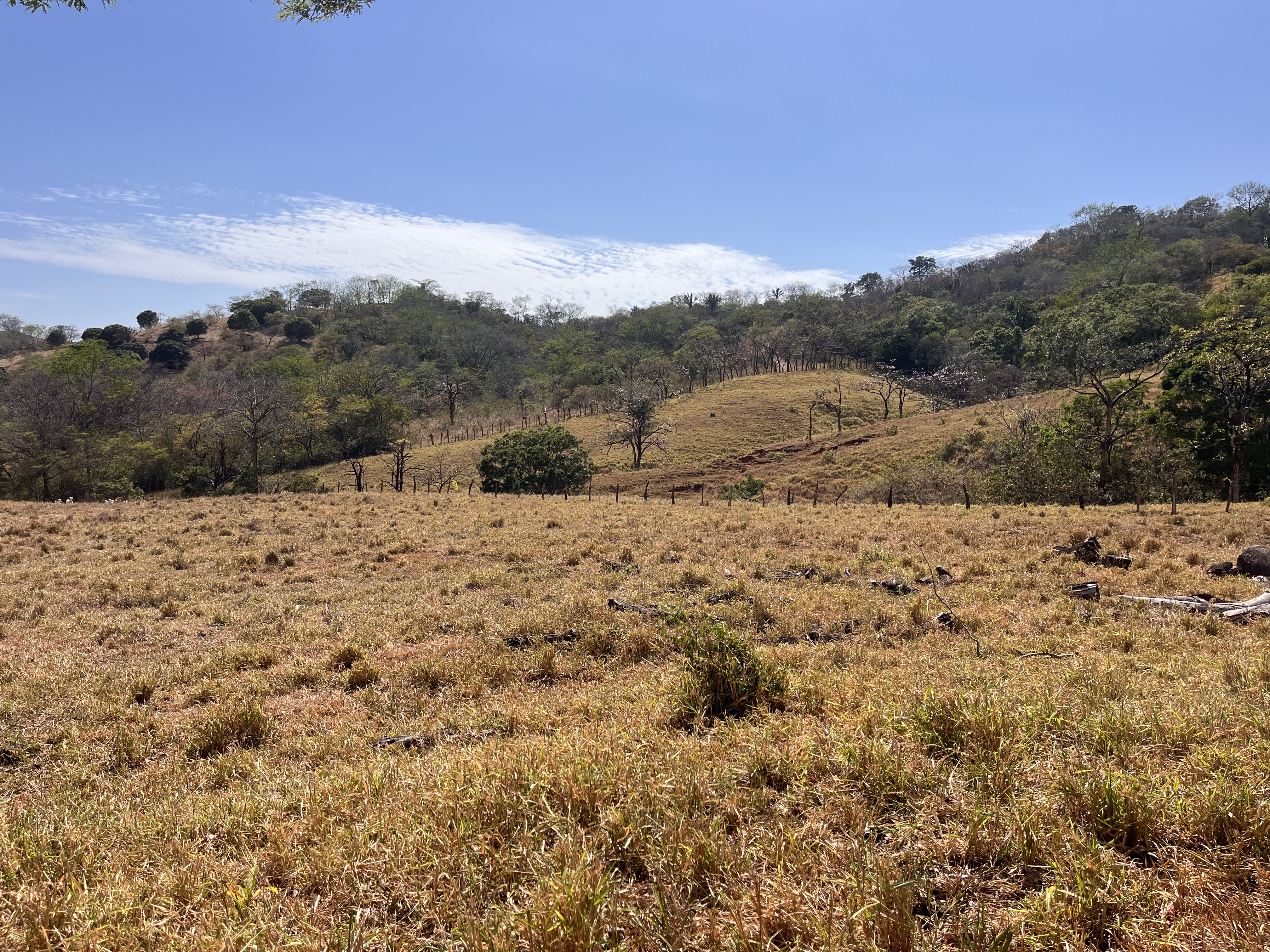 0 bed Land For Sale in Samara, Guanacaste - thumb 22