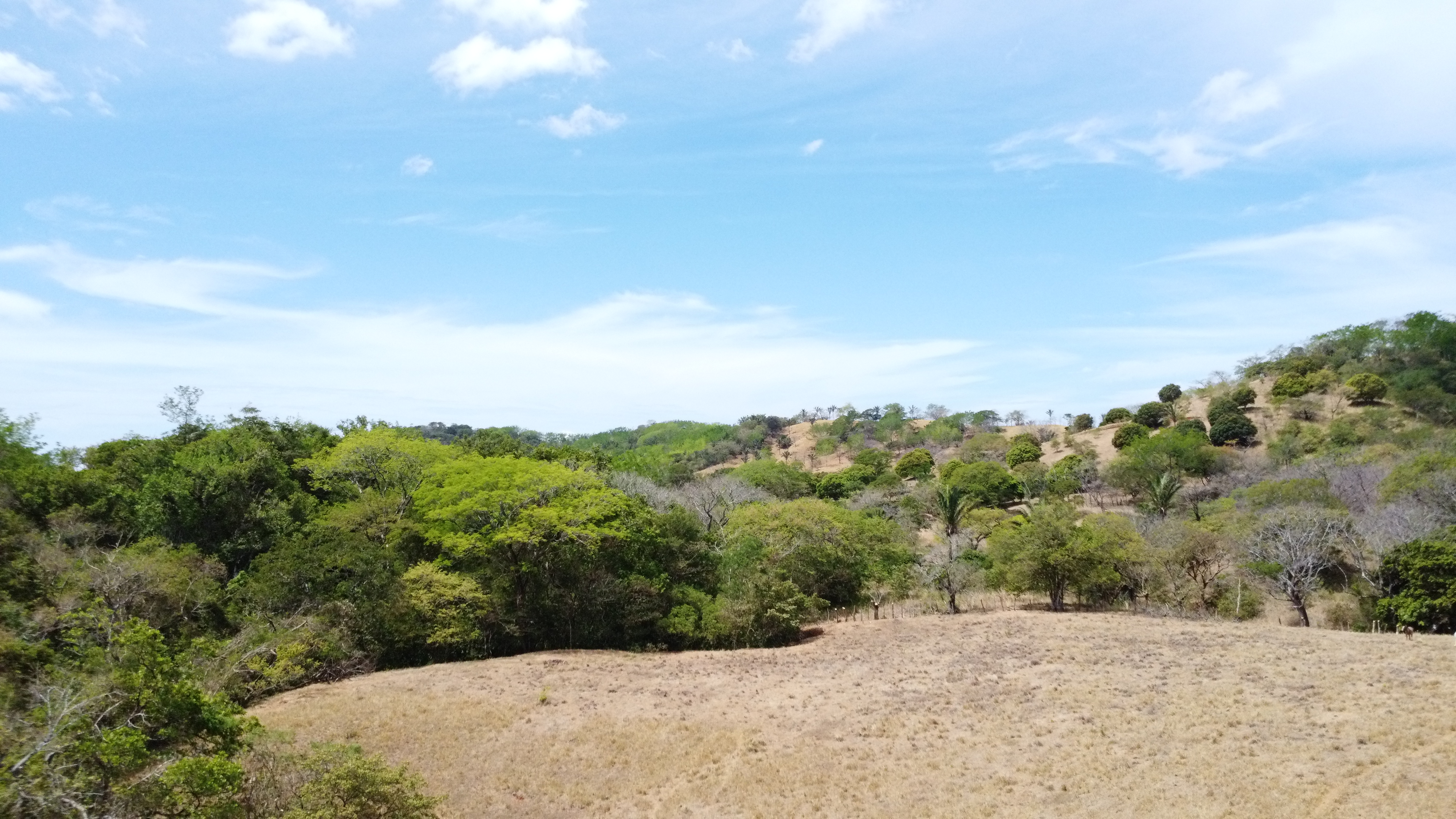 0 bed Land For Sale in Samara, Guanacaste - thumb 14