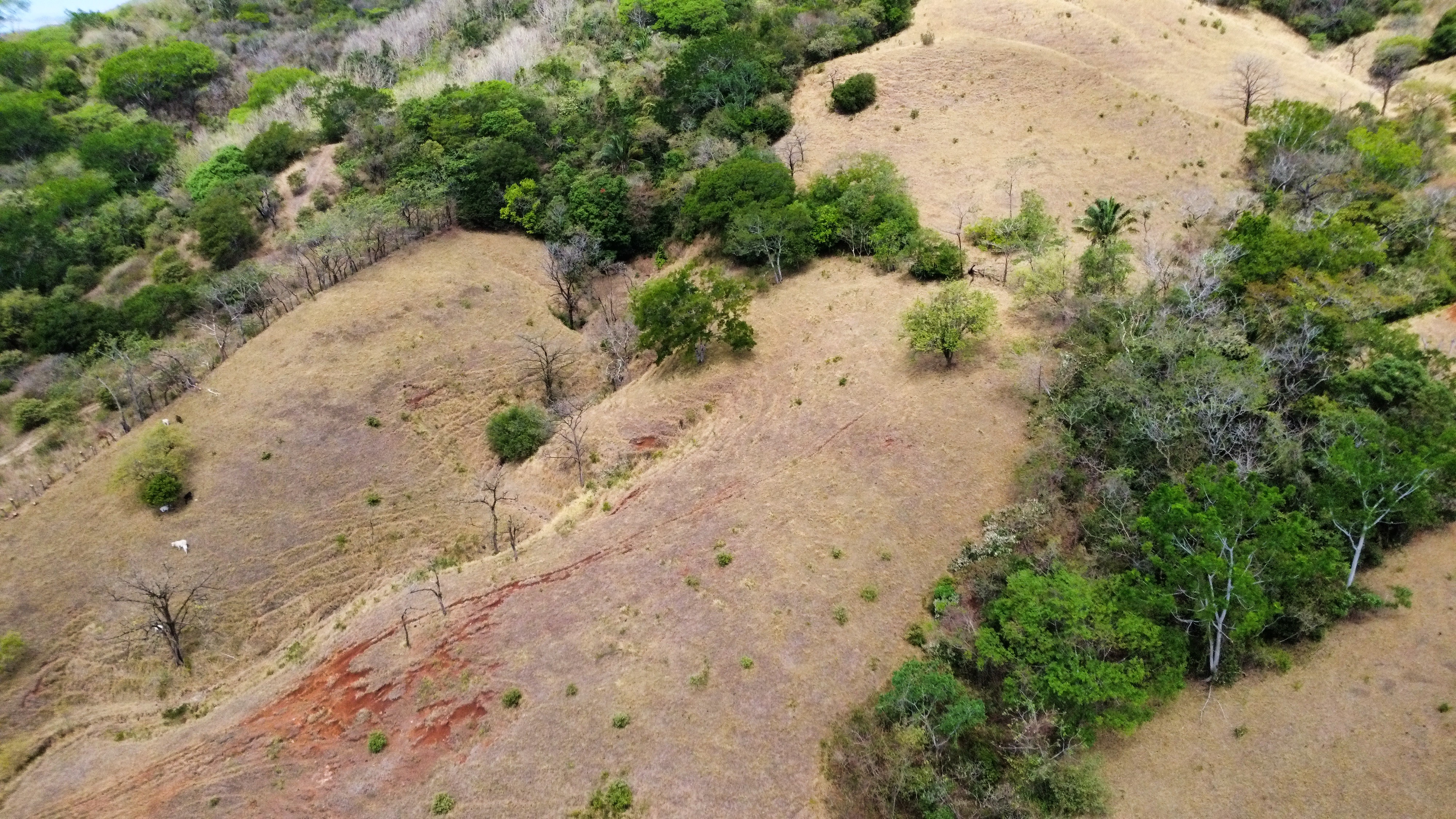 0 bed Land For Sale in Samara, Guanacaste - thumb 7