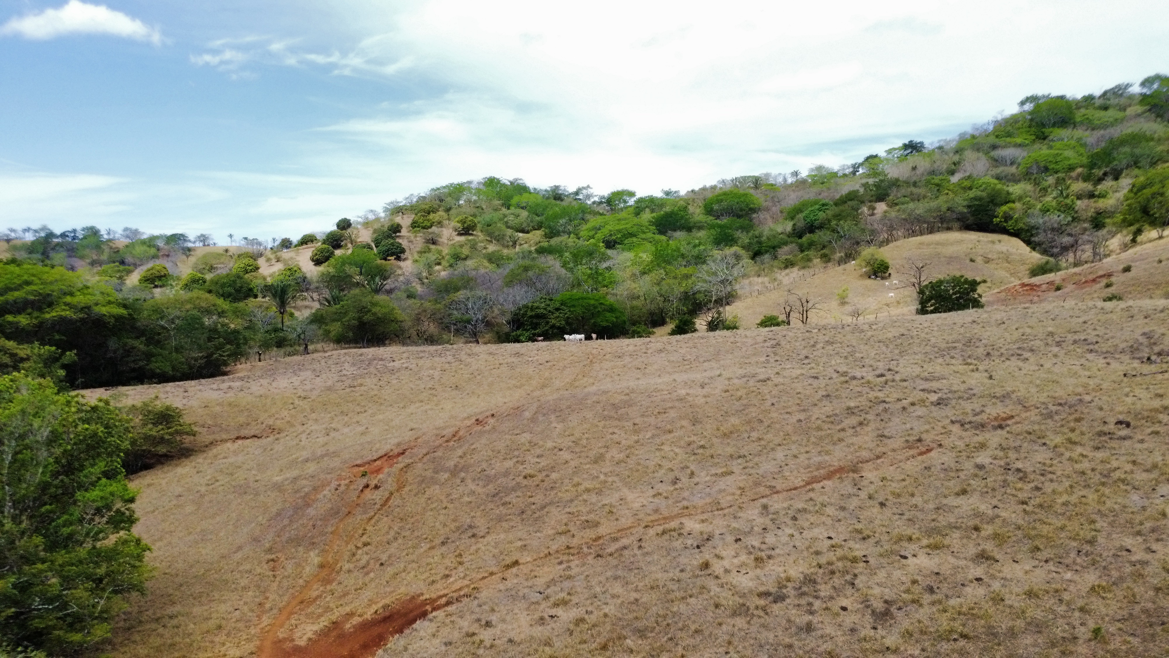 0 bed Land For Sale in Samara, Guanacaste - thumb 6