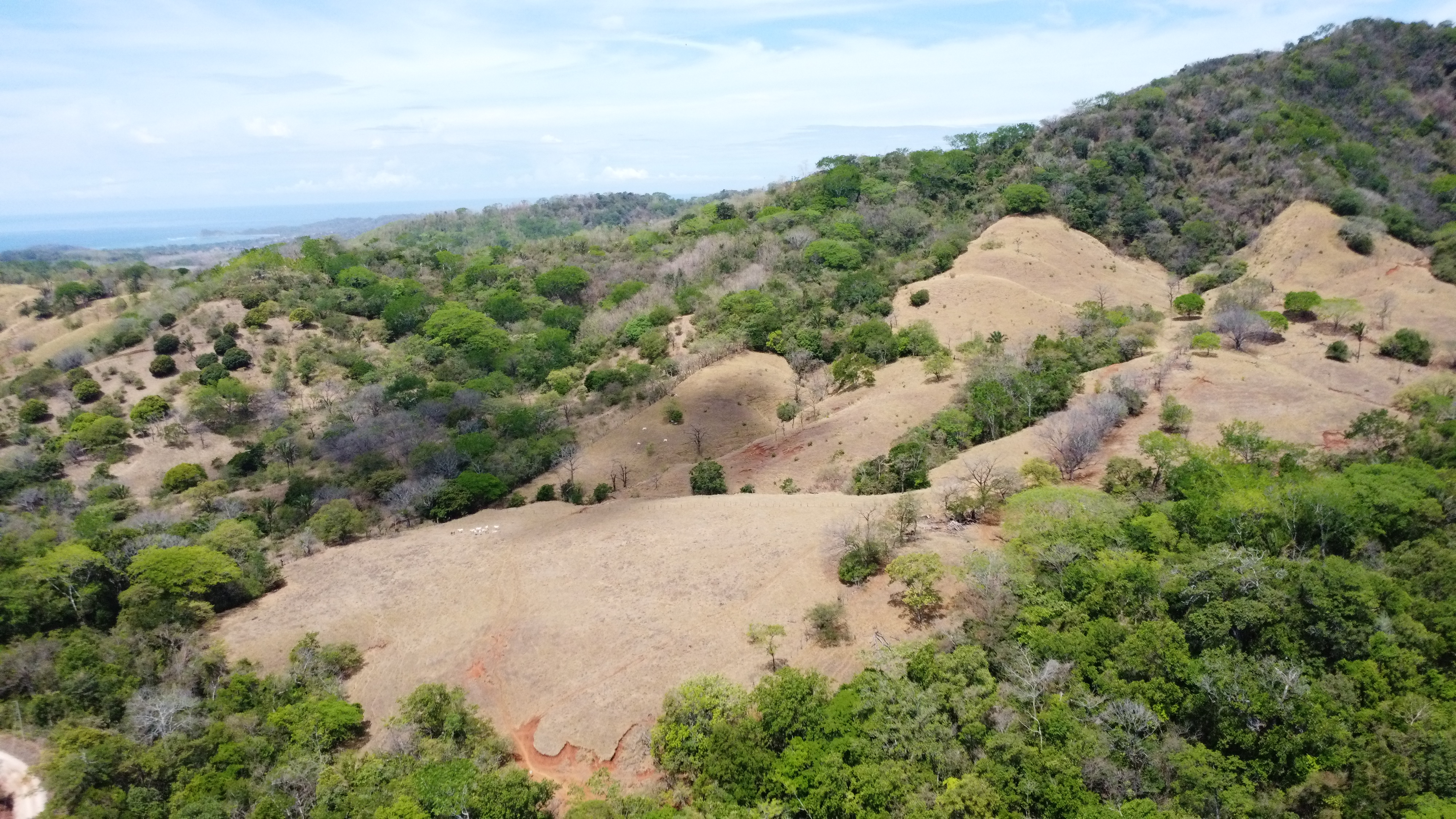 0 bed Land For Sale in Samara, Guanacaste - thumb 16