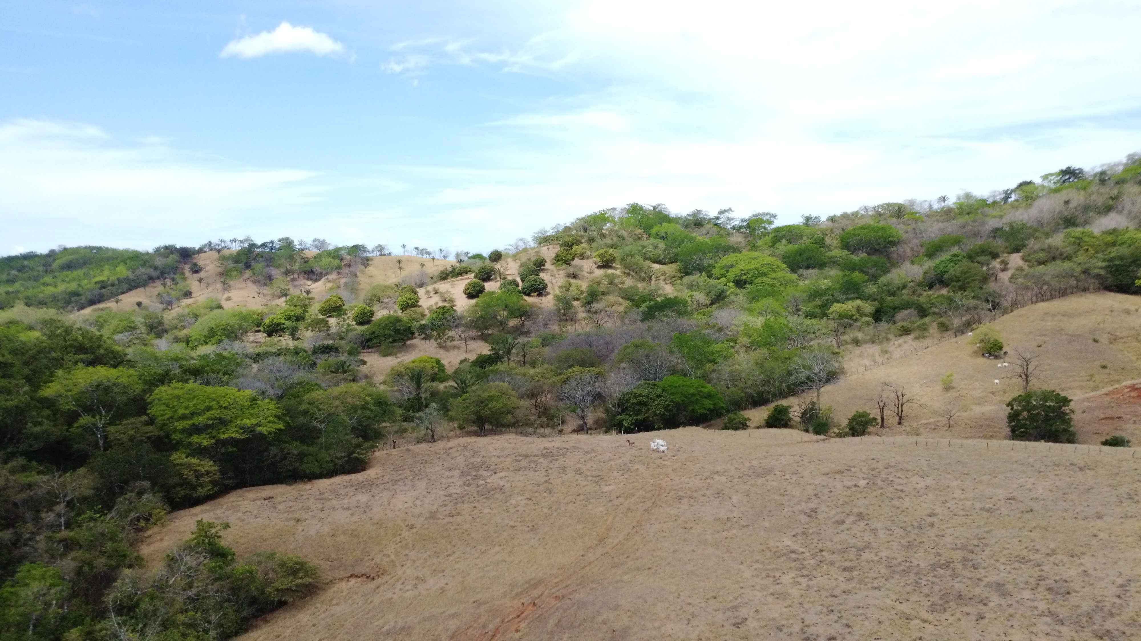0 bed Land For Sale in Samara, Guanacaste - thumb 13