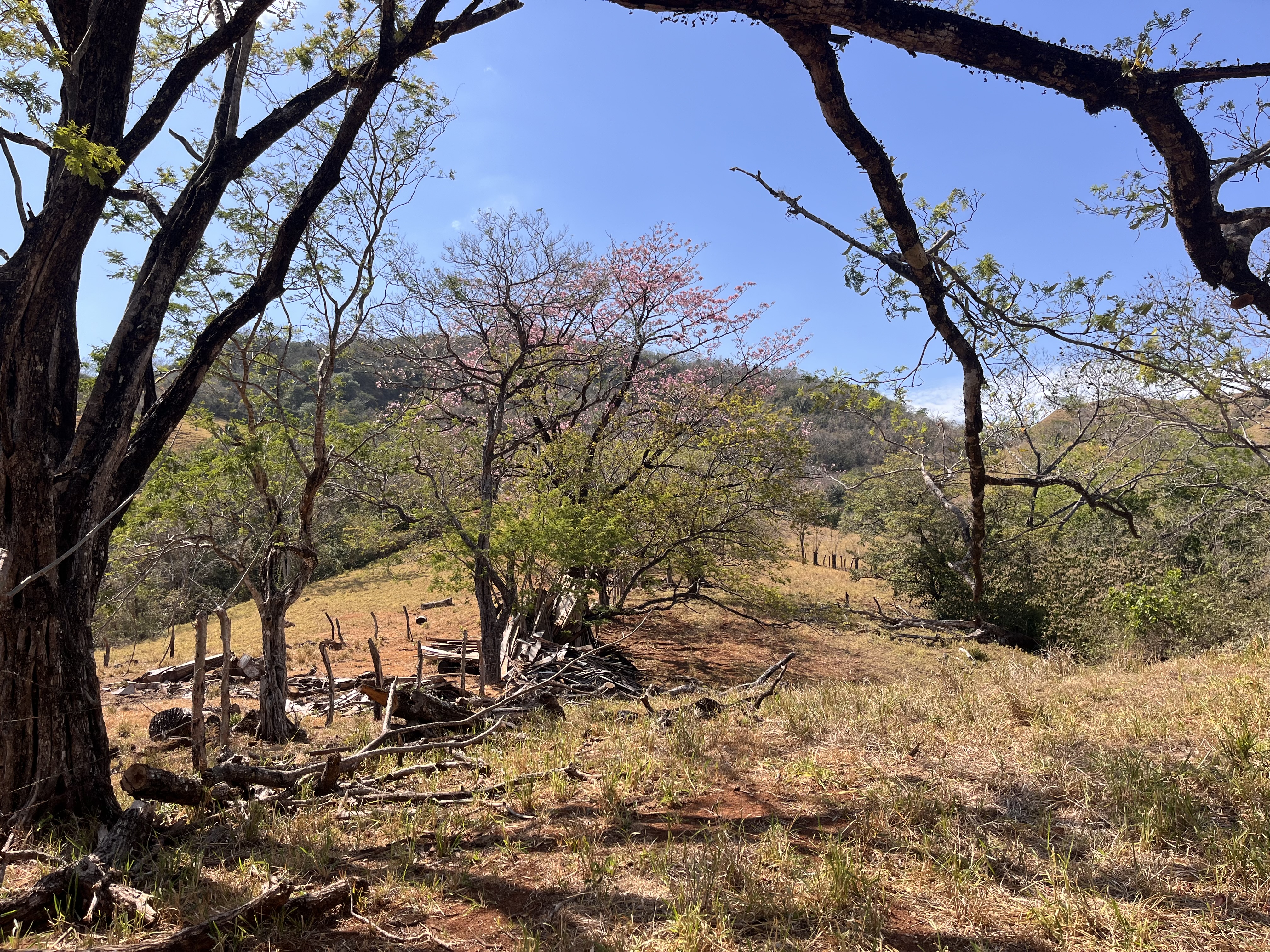 0 bed Land For Sale in Samara, Guanacaste - thumb 20
