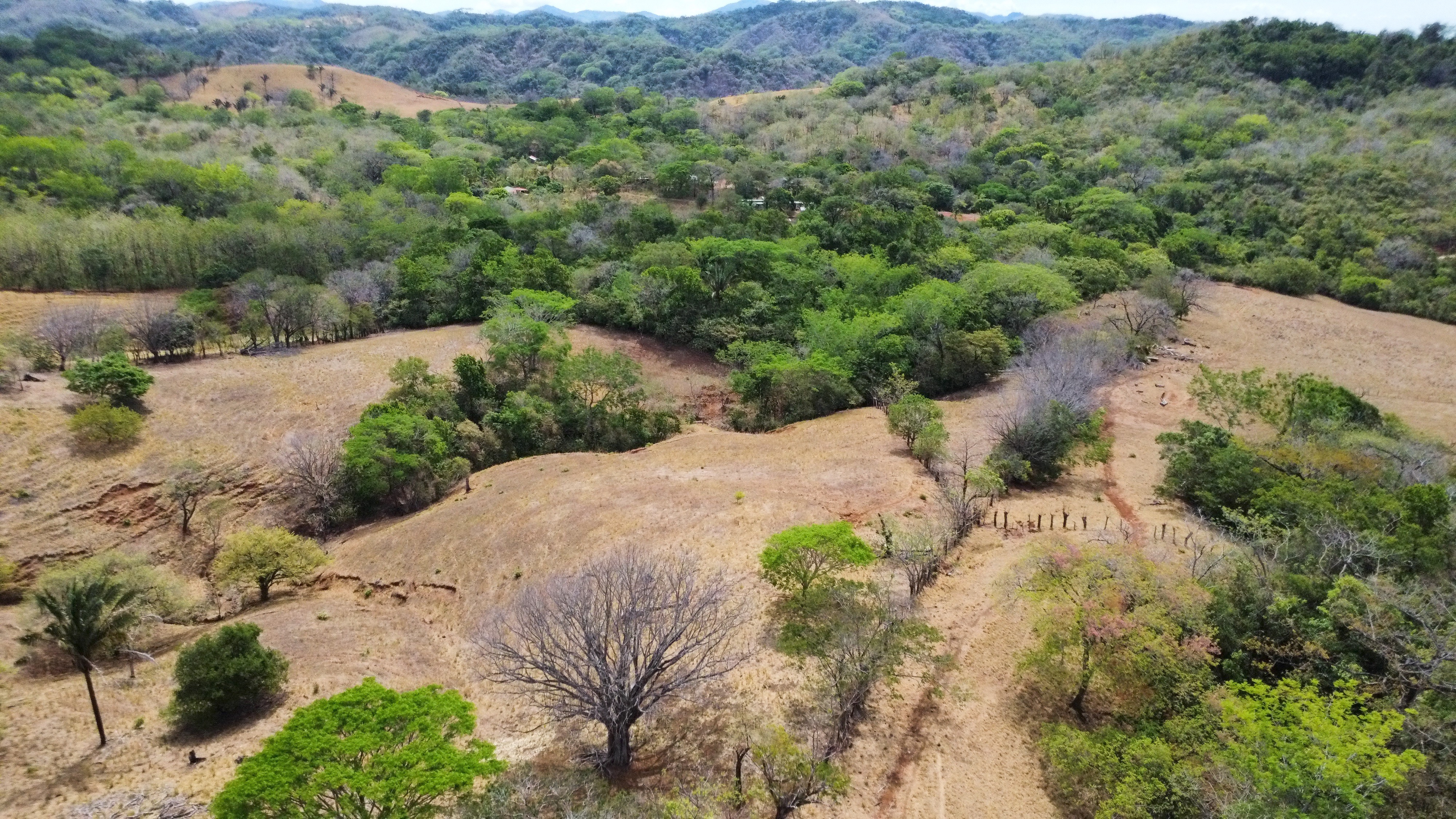 0 bed Land For Sale in Samara, Guanacaste - thumb 17