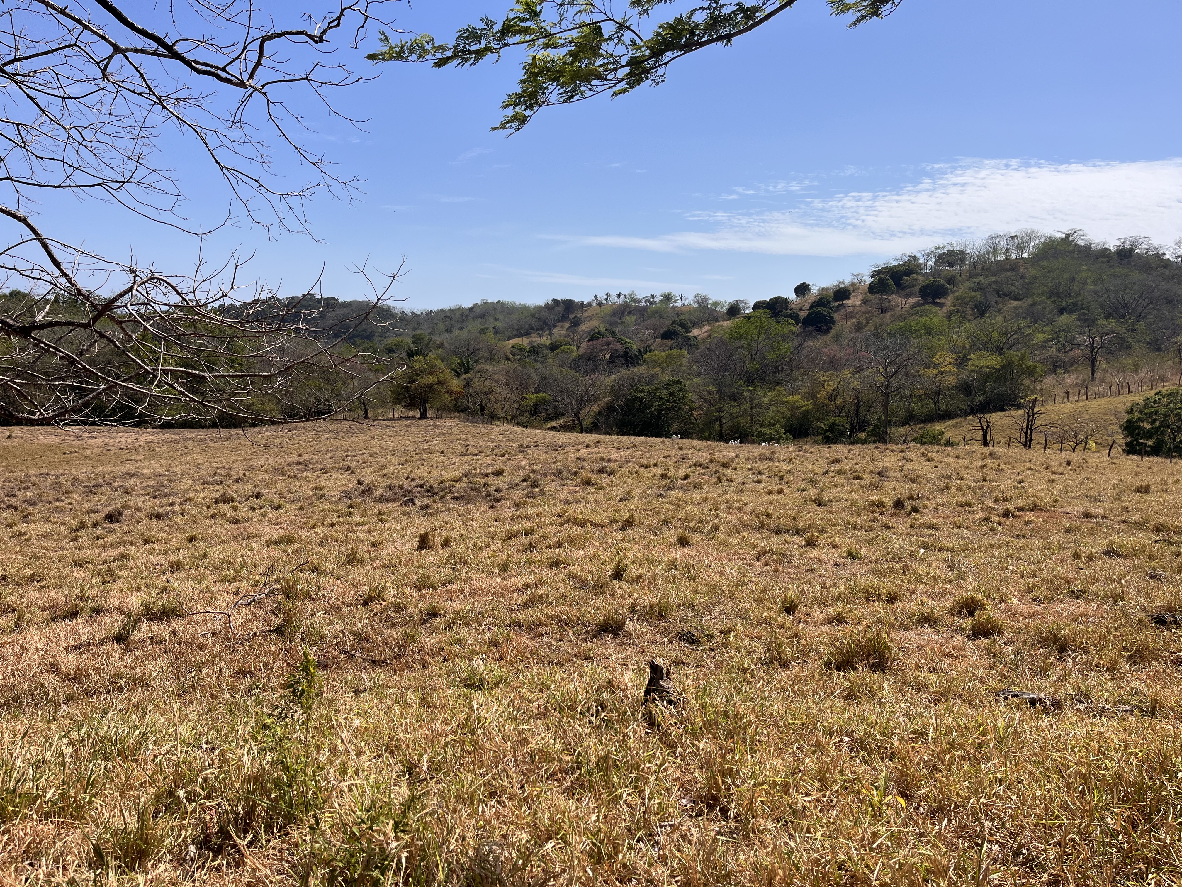 0 bed Land For Sale in Samara, Guanacaste - thumb 21