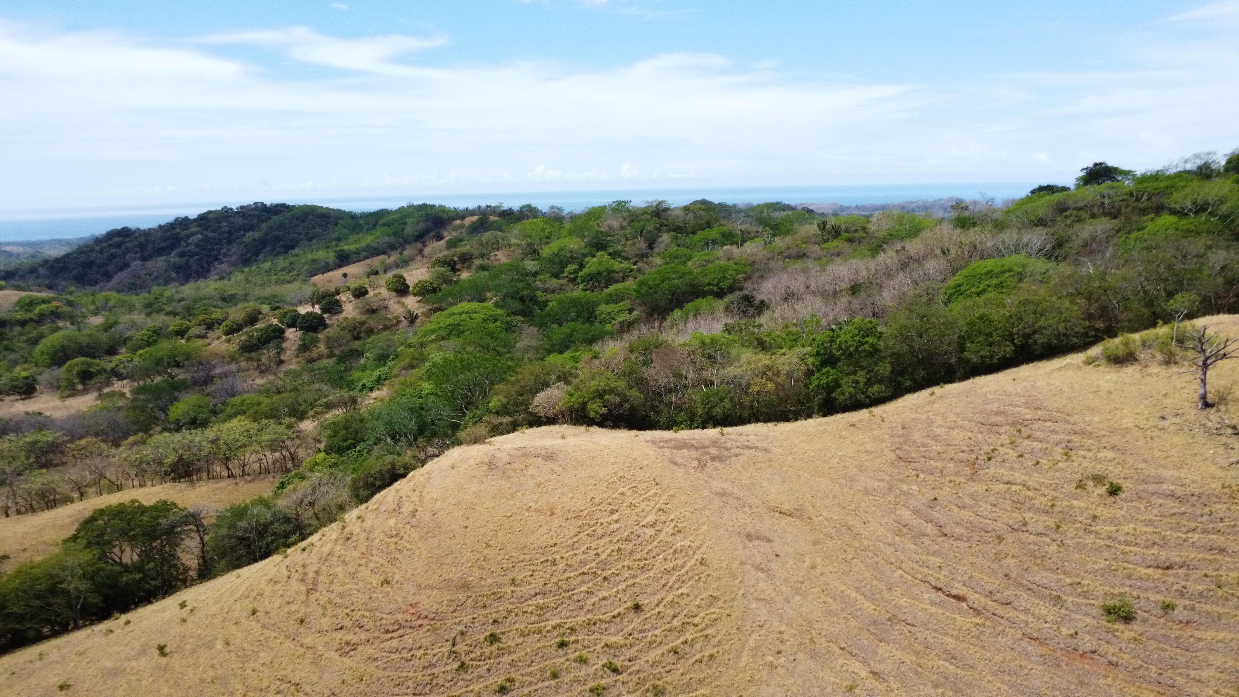 0 bed Land For Sale in Samara, Guanacaste - thumb 2