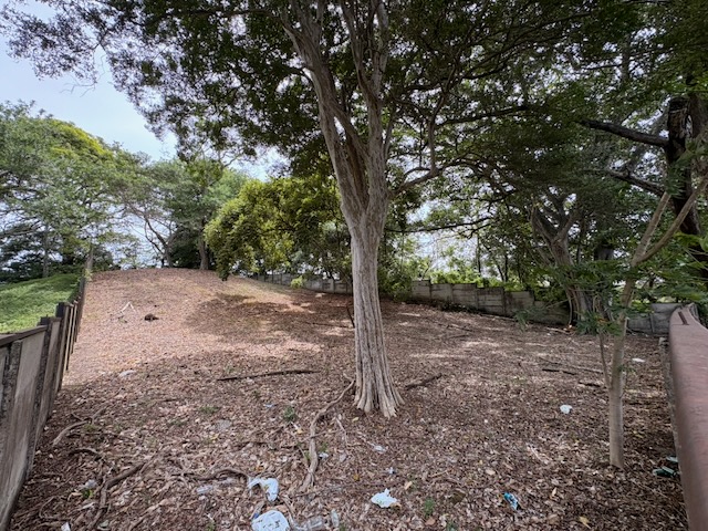 0 bed Land For Sale in Santa Ana, San Jose - thumb 5