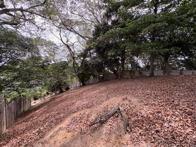 0 bed Land For Sale in Santa Ana, San Jose - thumb 8