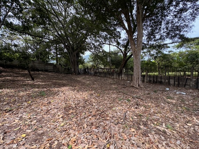 0 bed Land For Sale in Santa Ana, San Jose - thumb 11