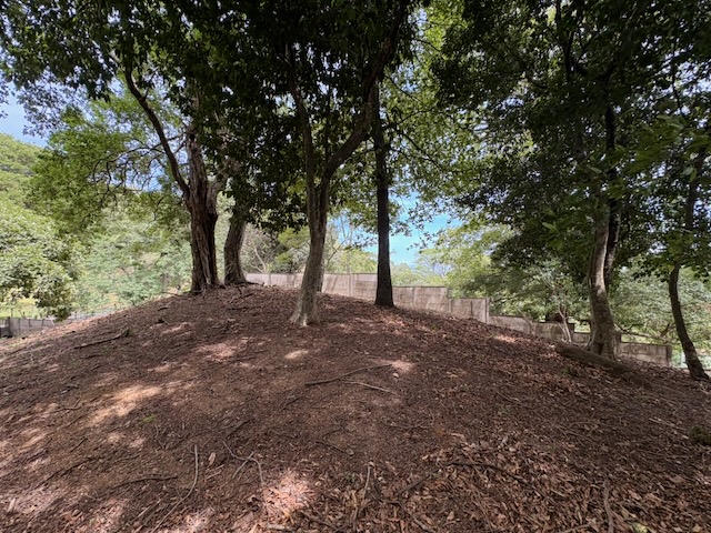 0 bed Land For Sale in Santa Ana, San Jose - thumb 4