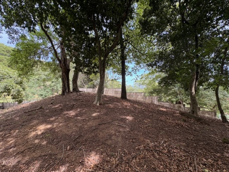 0 bed Land For Sale in Santa Ana, San Jose - photo 4