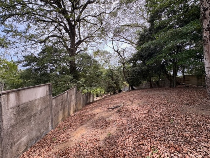 0 bed Land For Sale in Santa Ana, San Jose - photo 7