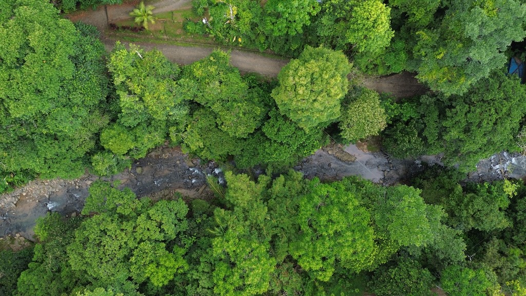 0 bed Land For Sale in Quepos, Puntarenas - thumb 14
