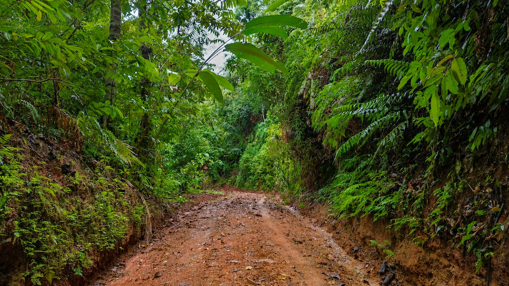 0 bed Land For Sale in Quepos, Puntarenas - thumb 11