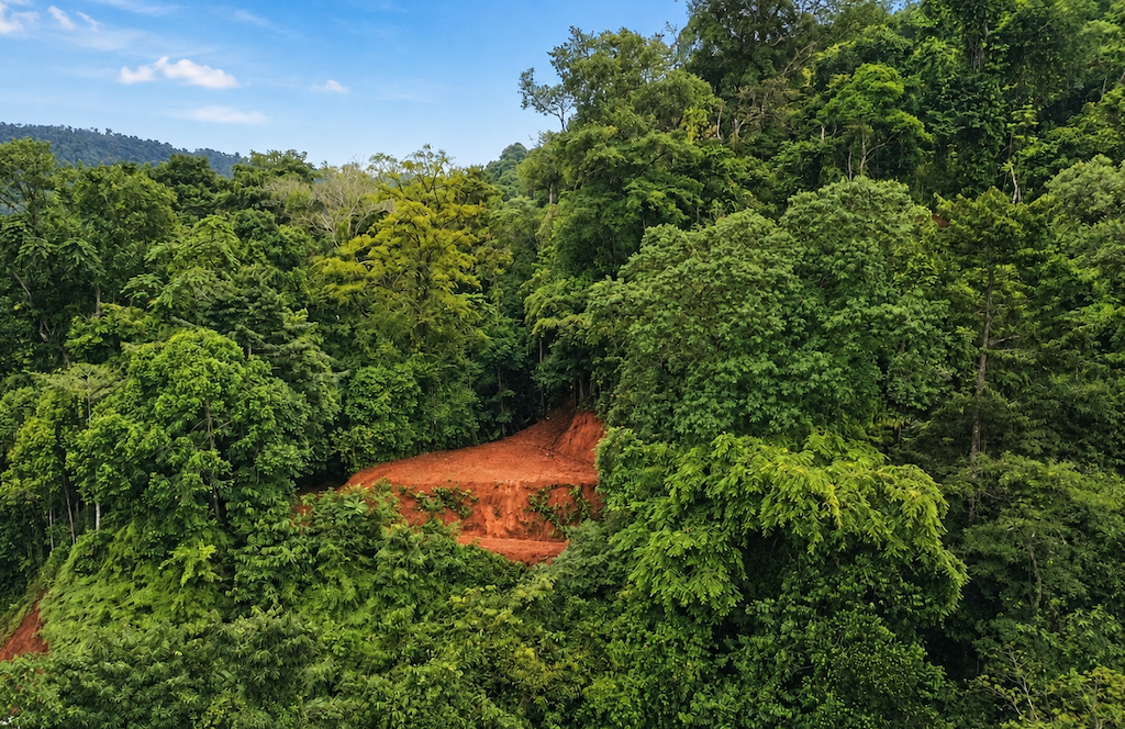 0 bed Land For Sale in Quepos, Puntarenas - thumb 2