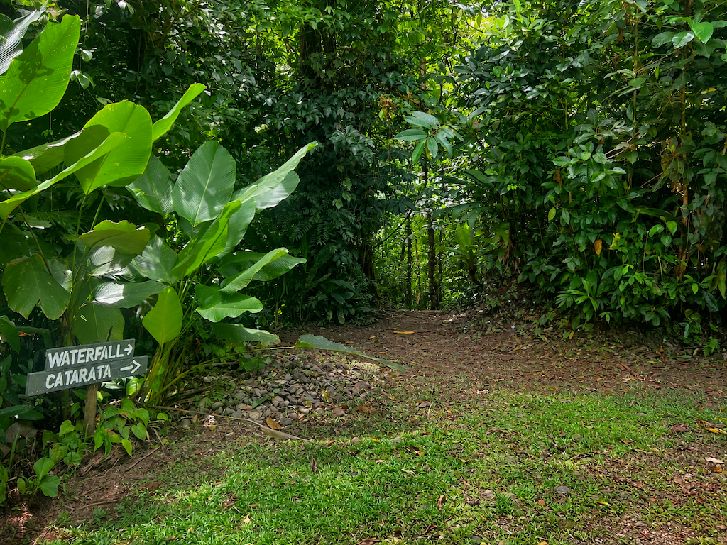 0 bed Land For Sale in Quepos, Puntarenas - thumb 16