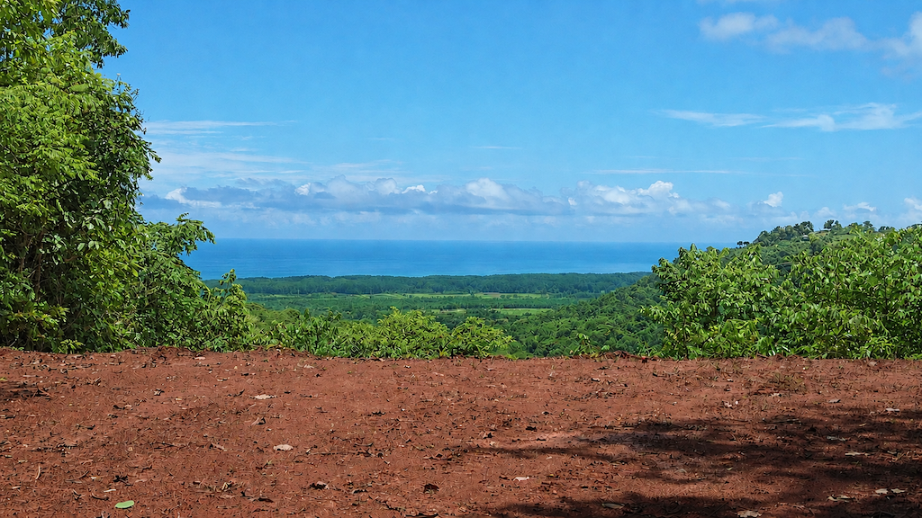 0 bed Land For Sale in Quepos, Puntarenas - thumb 1