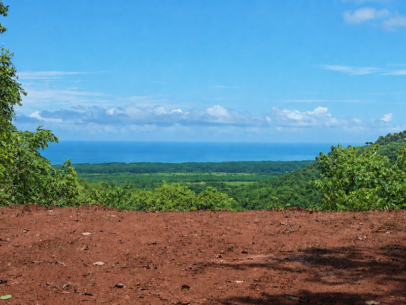 0 bed Land For Sale in Quepos, Puntarenas - 1