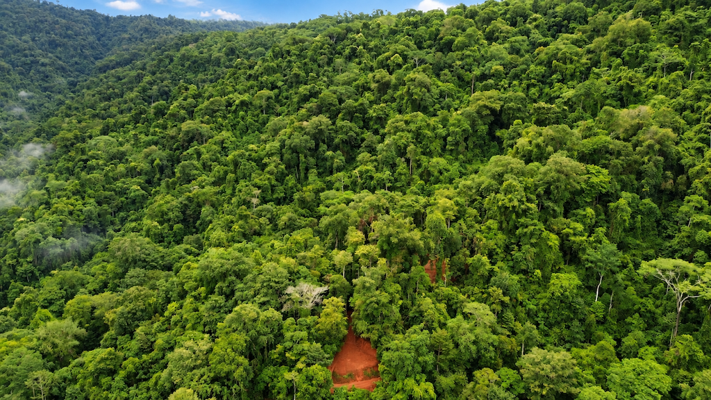0 bed Land For Sale in Quepos, Puntarenas - thumb 3