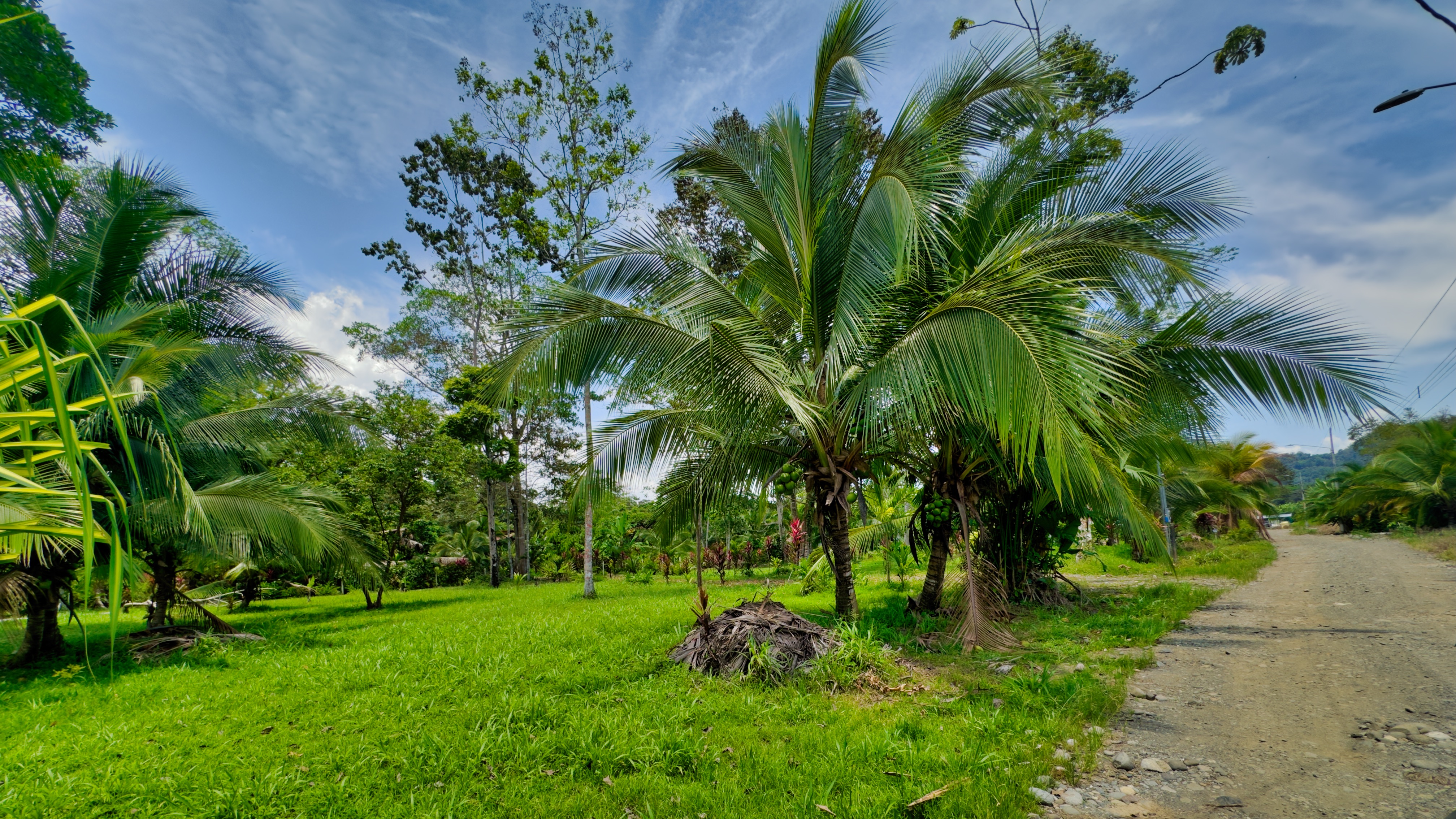 0 bed Land For Sale in Puerto Viejo, Limón - thumb 6