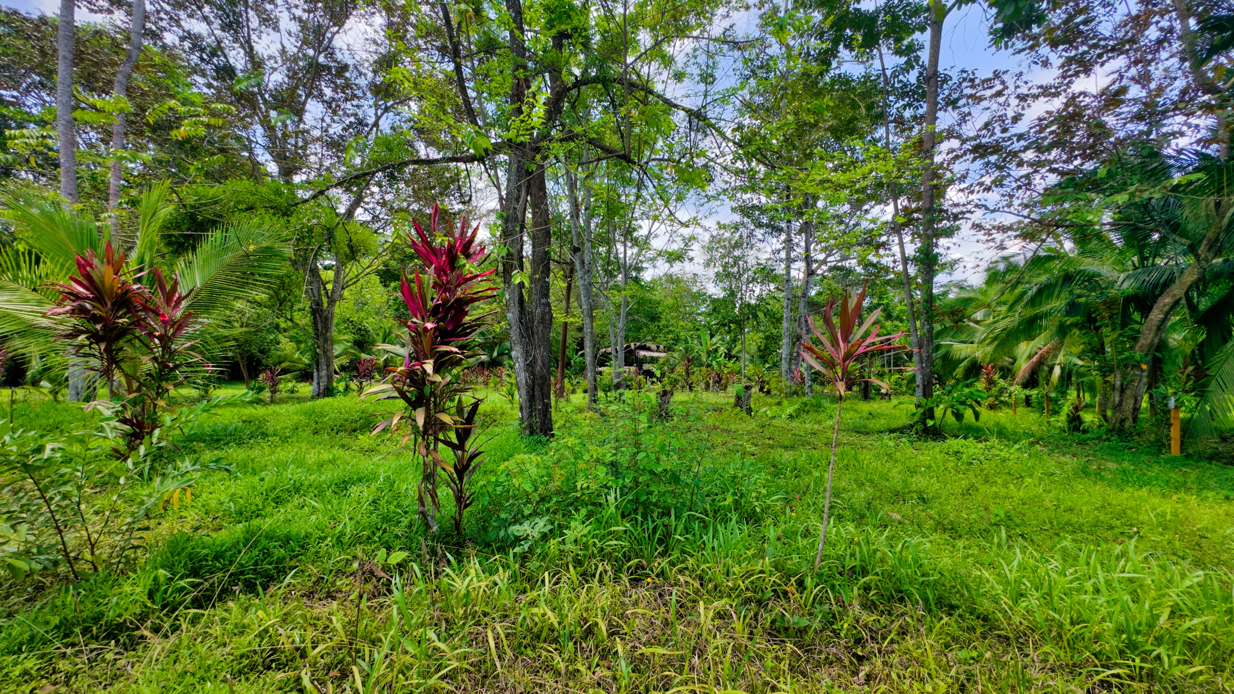 0 bed Land For Sale in Puerto Viejo, Limón - thumb 7