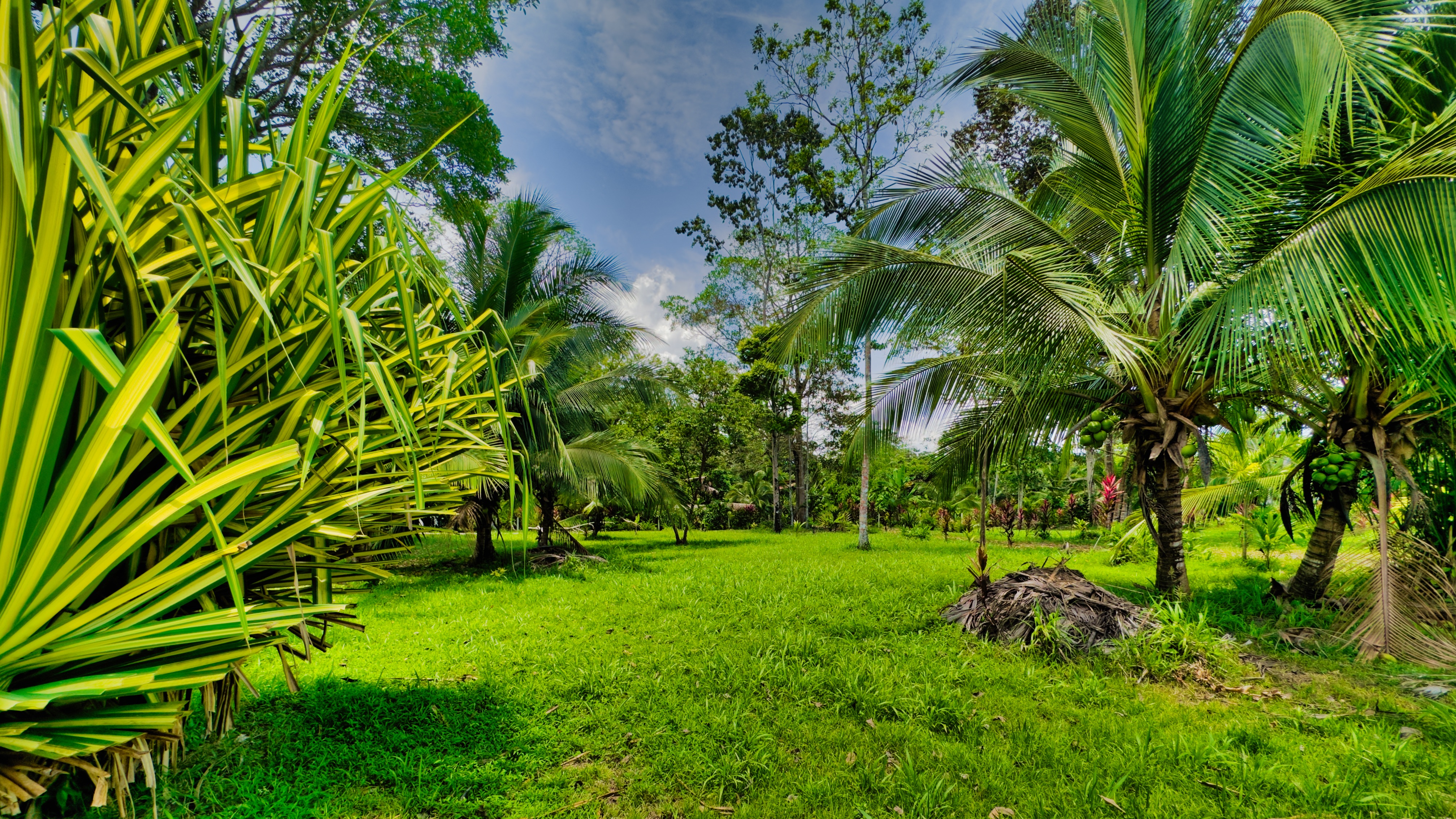 0 bed Land For Sale in Puerto Viejo, Limón - thumb 5
