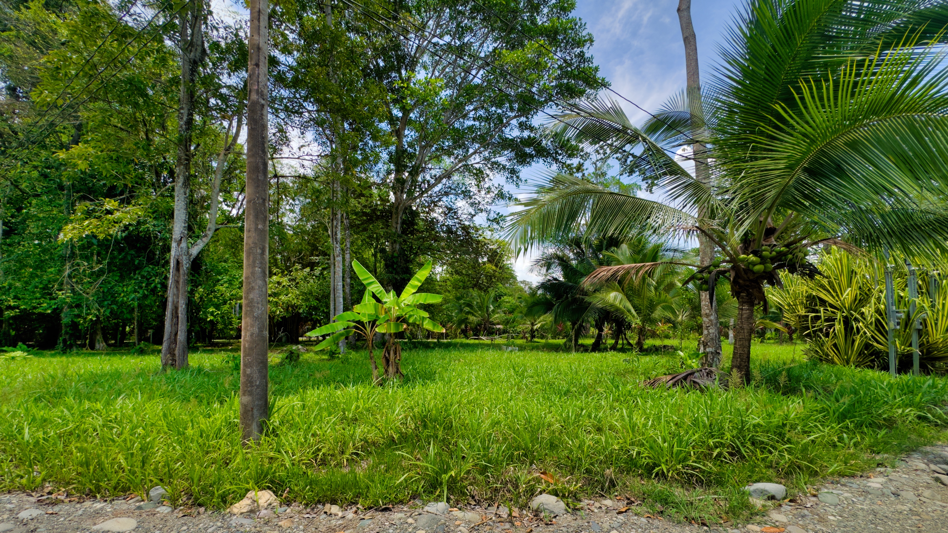 0 bed Land For Sale in Puerto Viejo, Limón - thumb 4