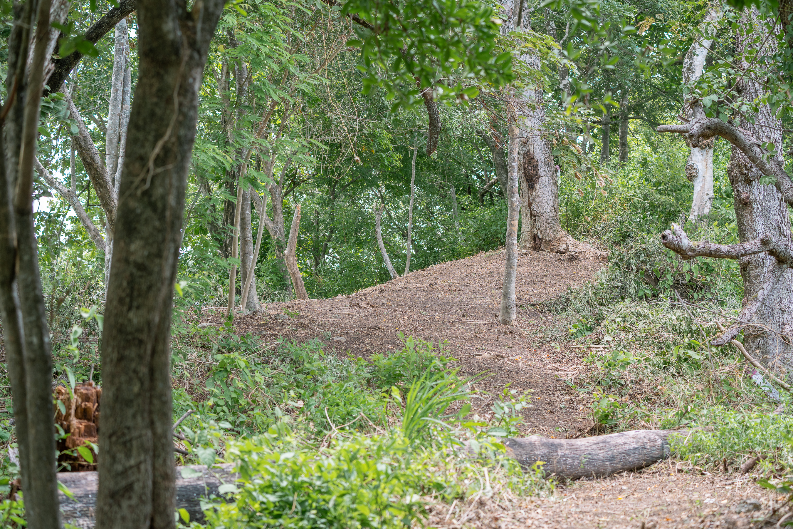 0 bed Land For Sale in Nosara, Guanacaste - thumb 4