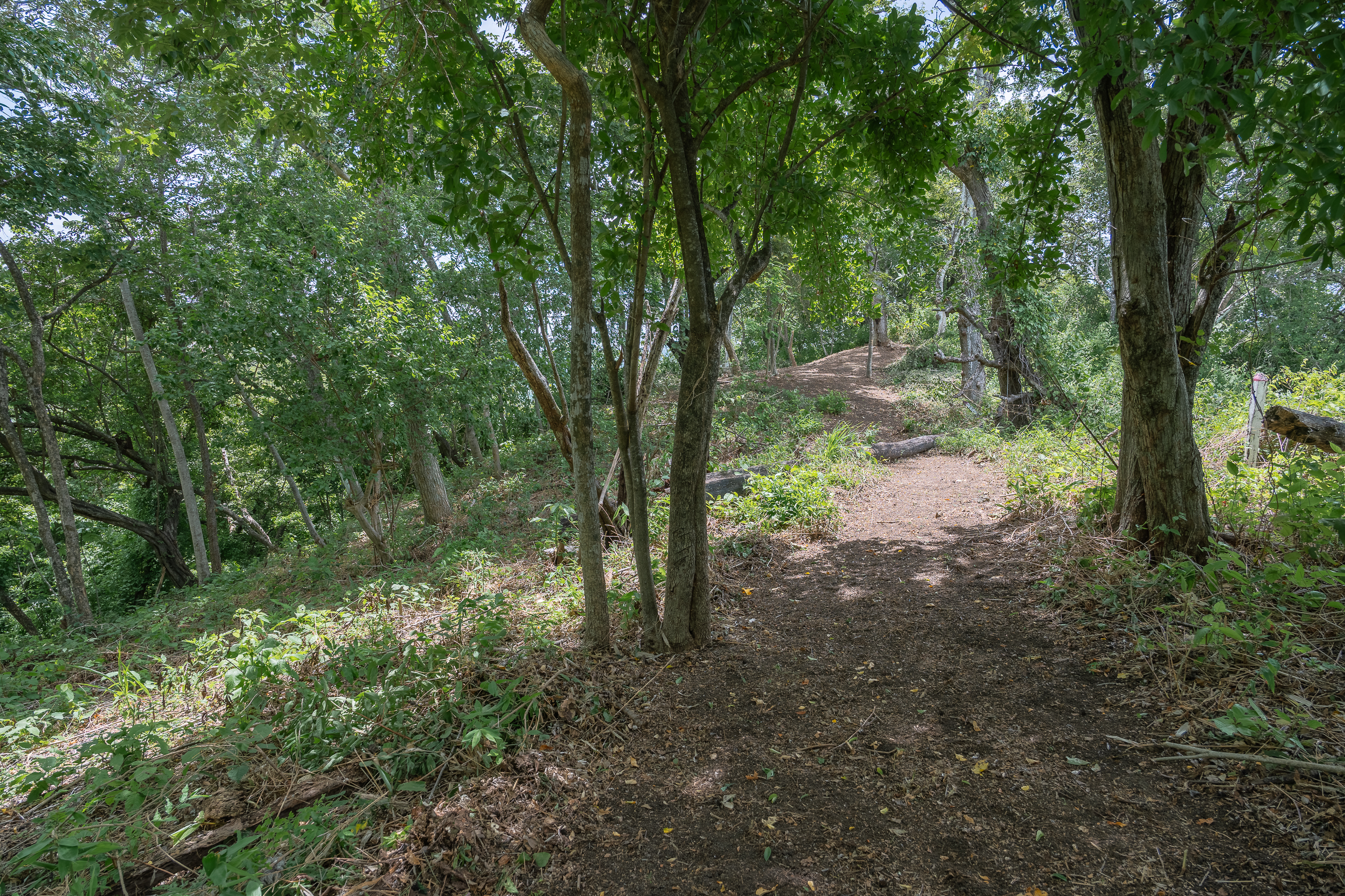 0 bed Land For Sale in Nosara, Guanacaste - thumb 11