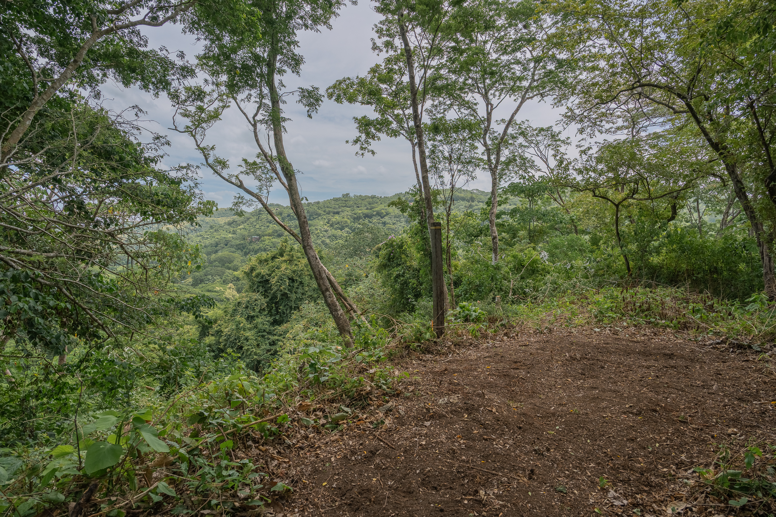 0 bed Land For Sale in Nosara, Guanacaste - thumb 14
