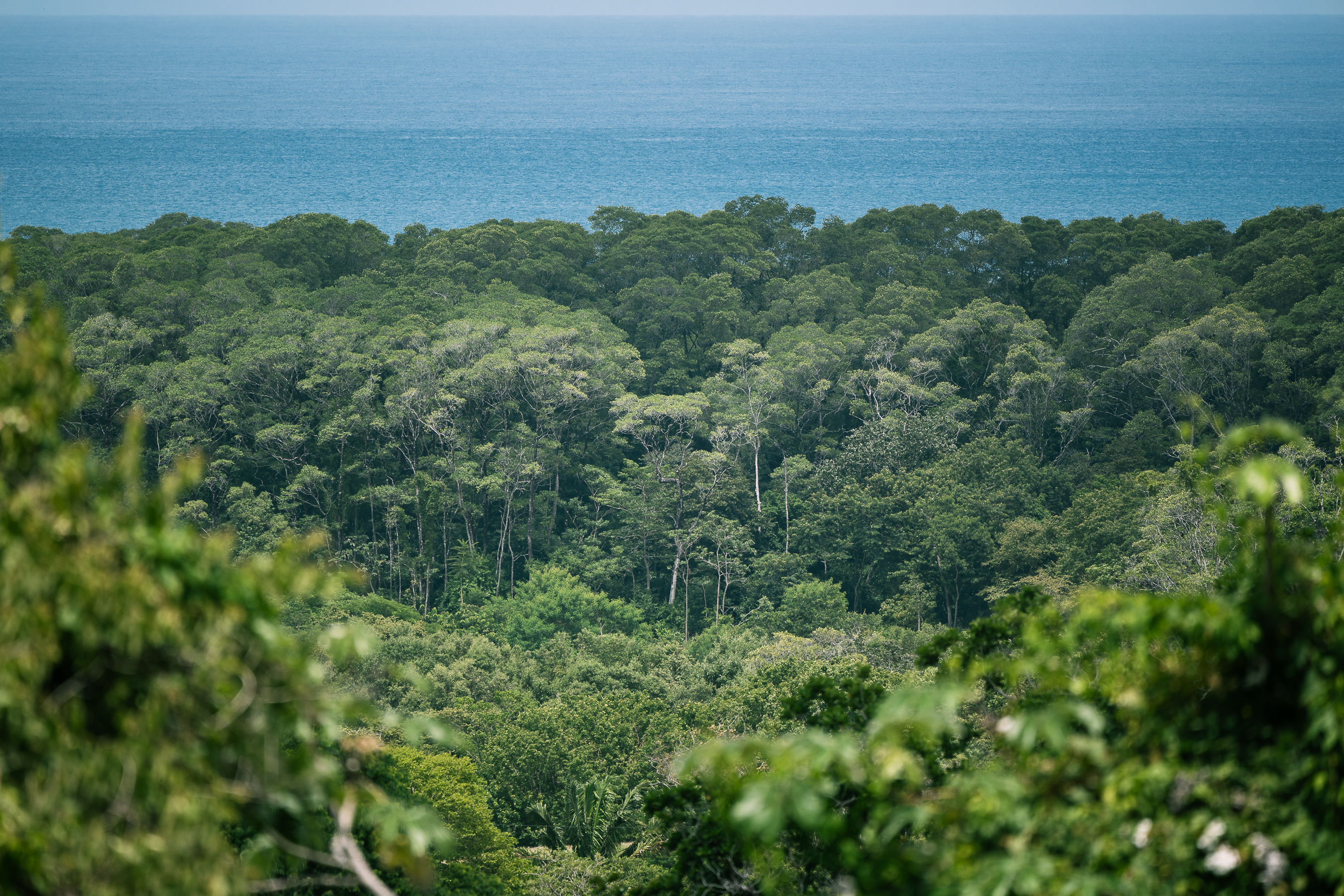 0 bed Land For Sale in Nosara, Guanacaste - thumb 3
