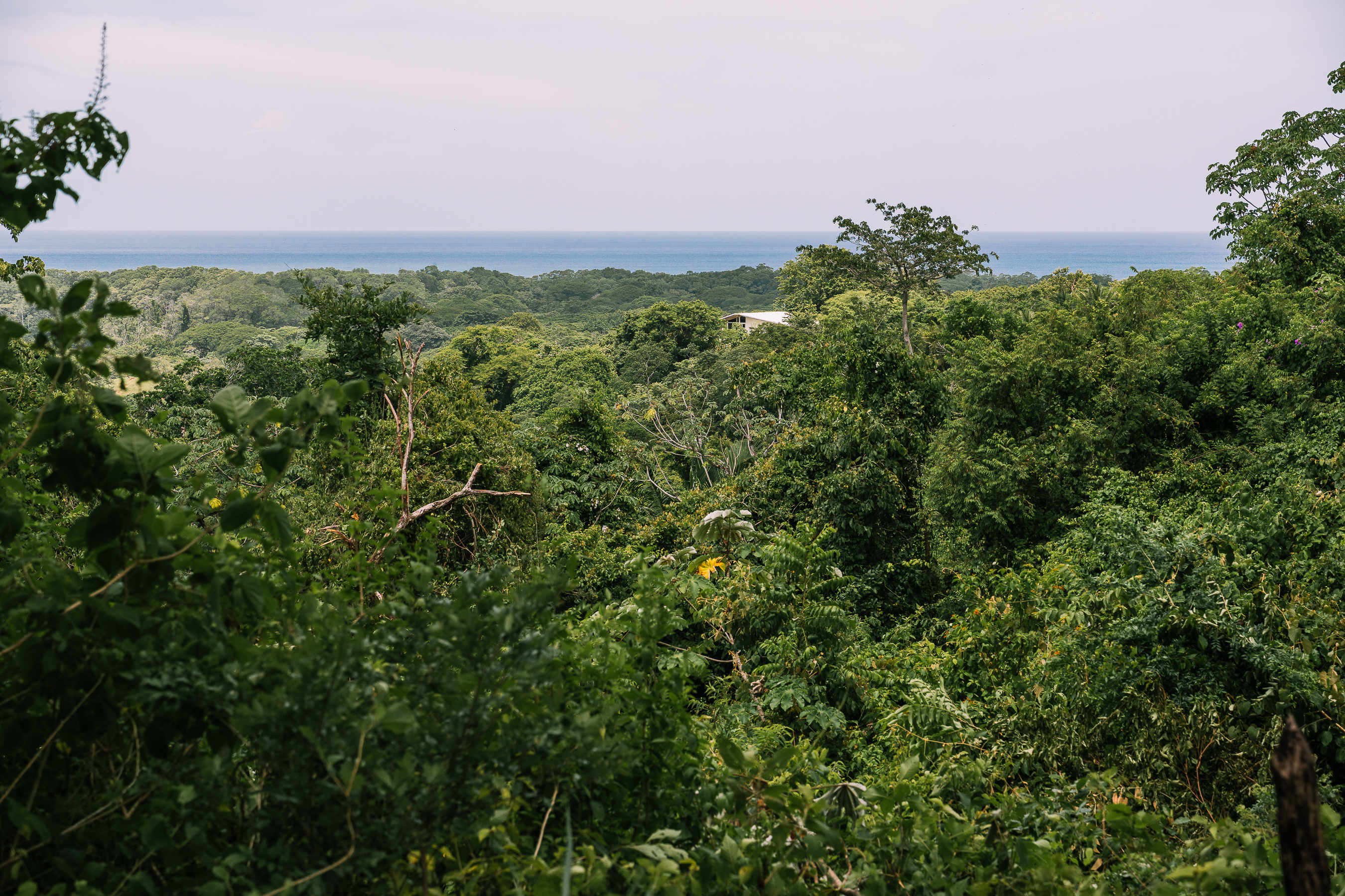 0 bed Land For Sale in Nosara, Guanacaste - thumb 2